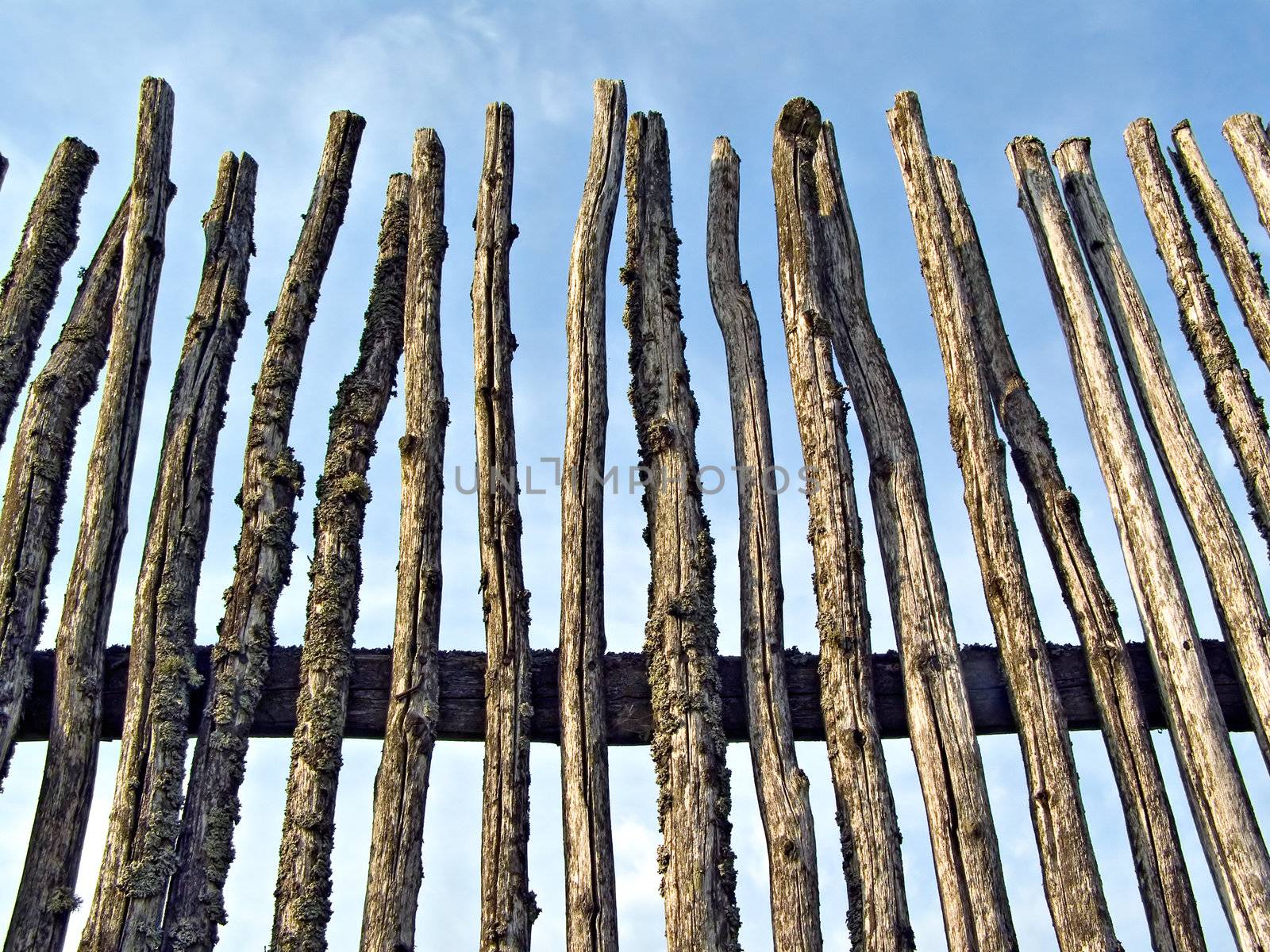 old rustic fence