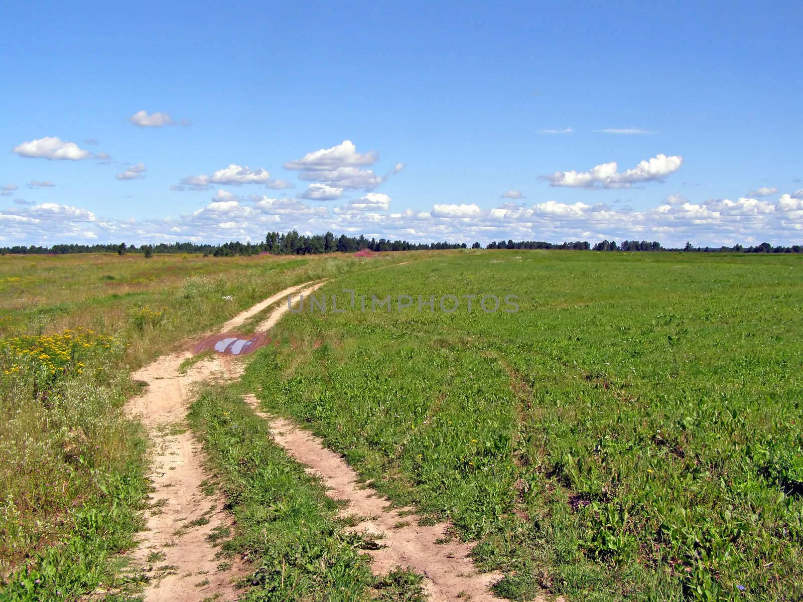 rural road through field