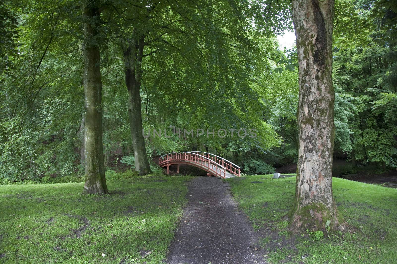 Beautiful old  Danish wooden bridge in park at summertime.