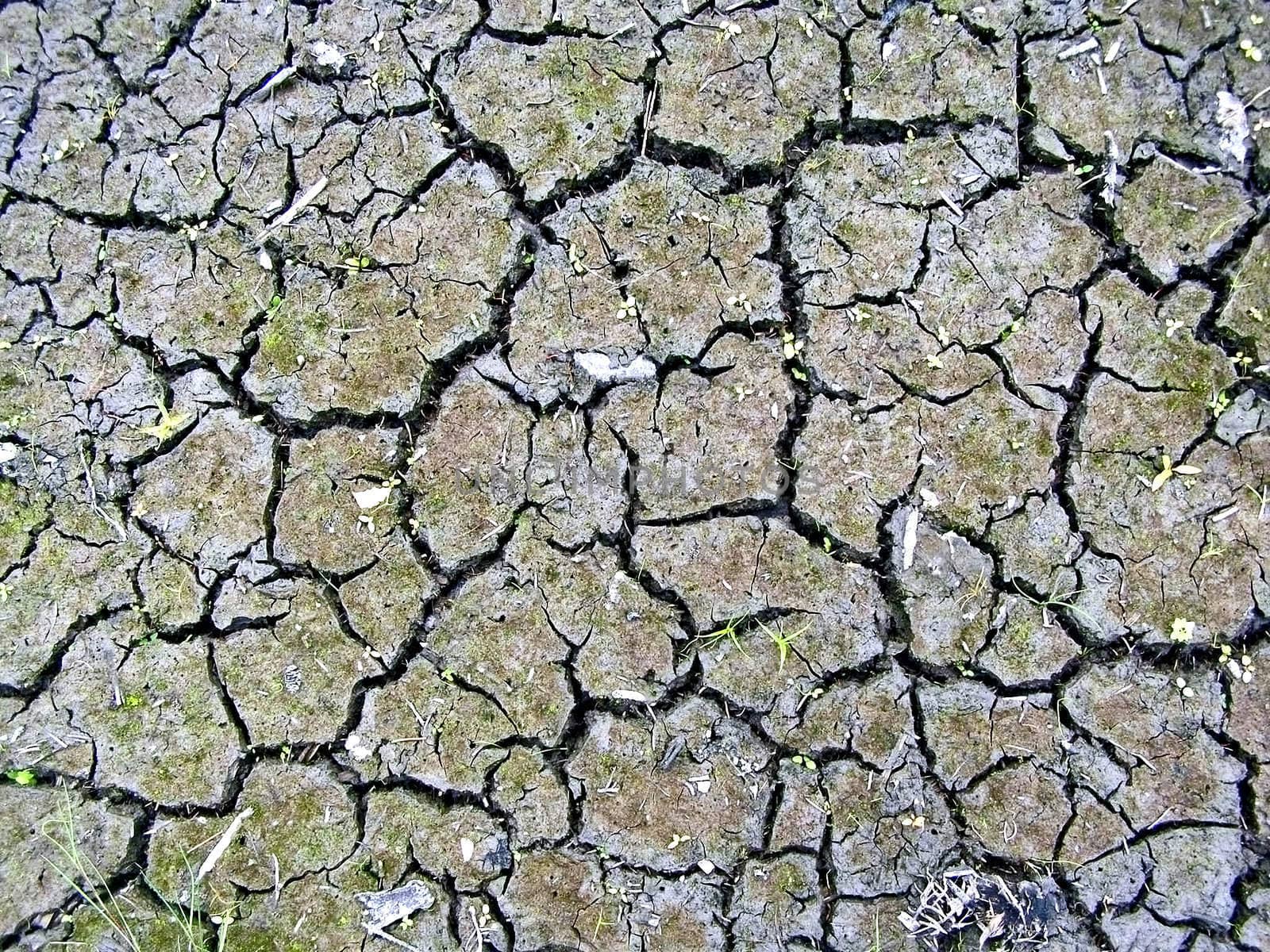 dry land with rift