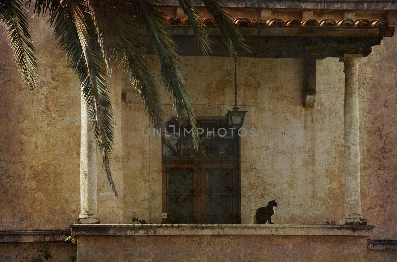 Entrance with cat - postcard from Dubrovnik, Croatia. Several of my photos worked together to reflect age and time.