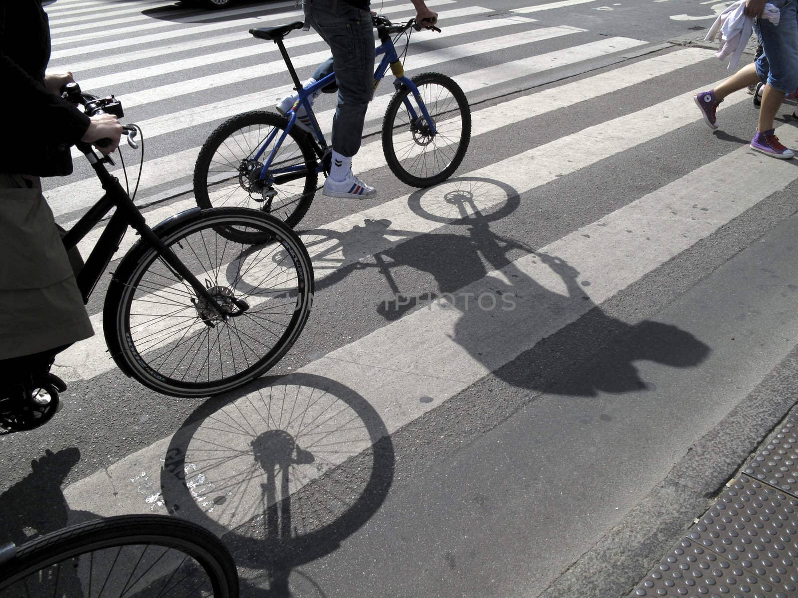 Cyclists in  pedestrian crossing Copenhagen, Denmark.              