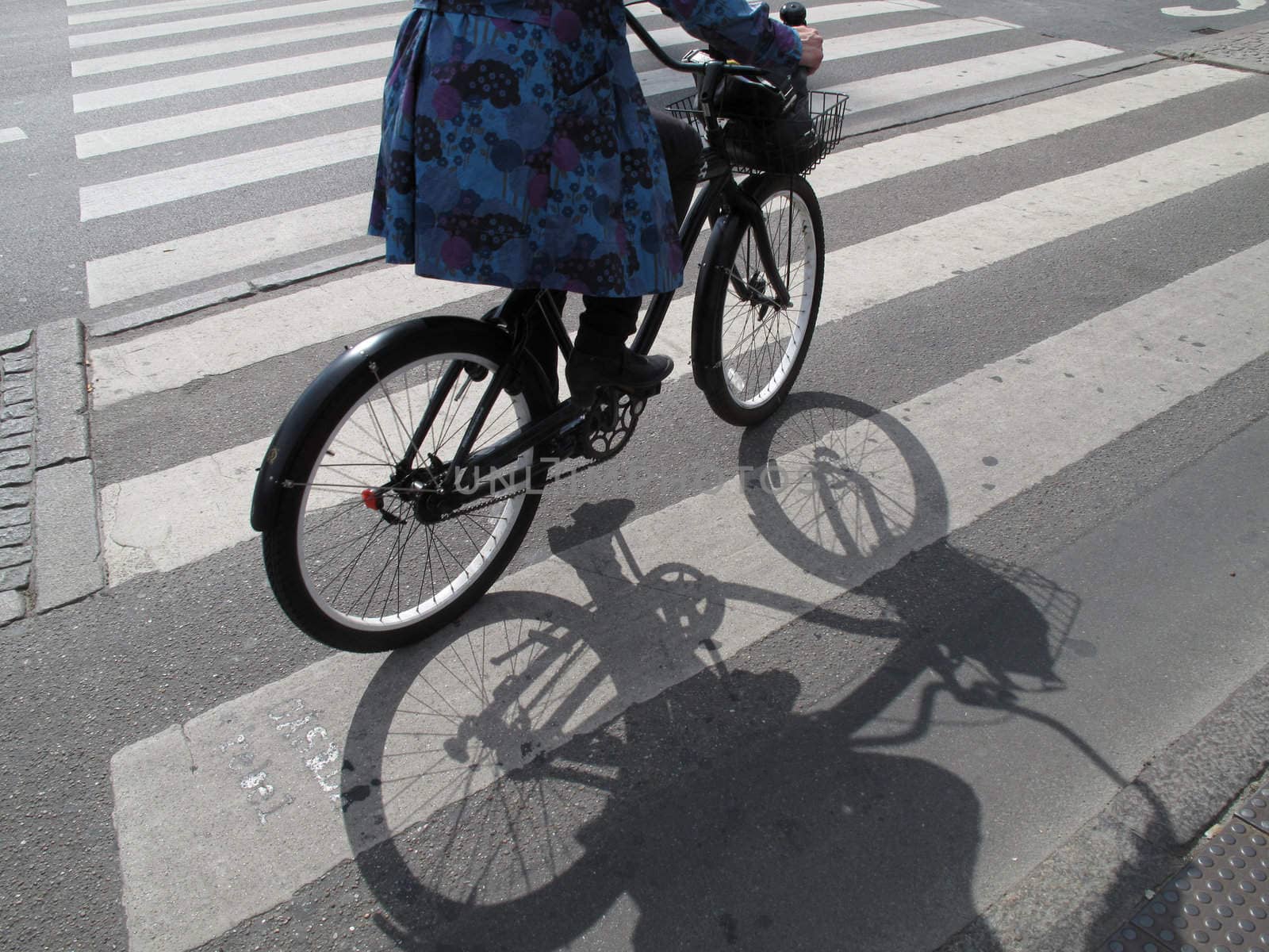 Cyclist in  pedestrian crossing Copenhagen, Denmark.              