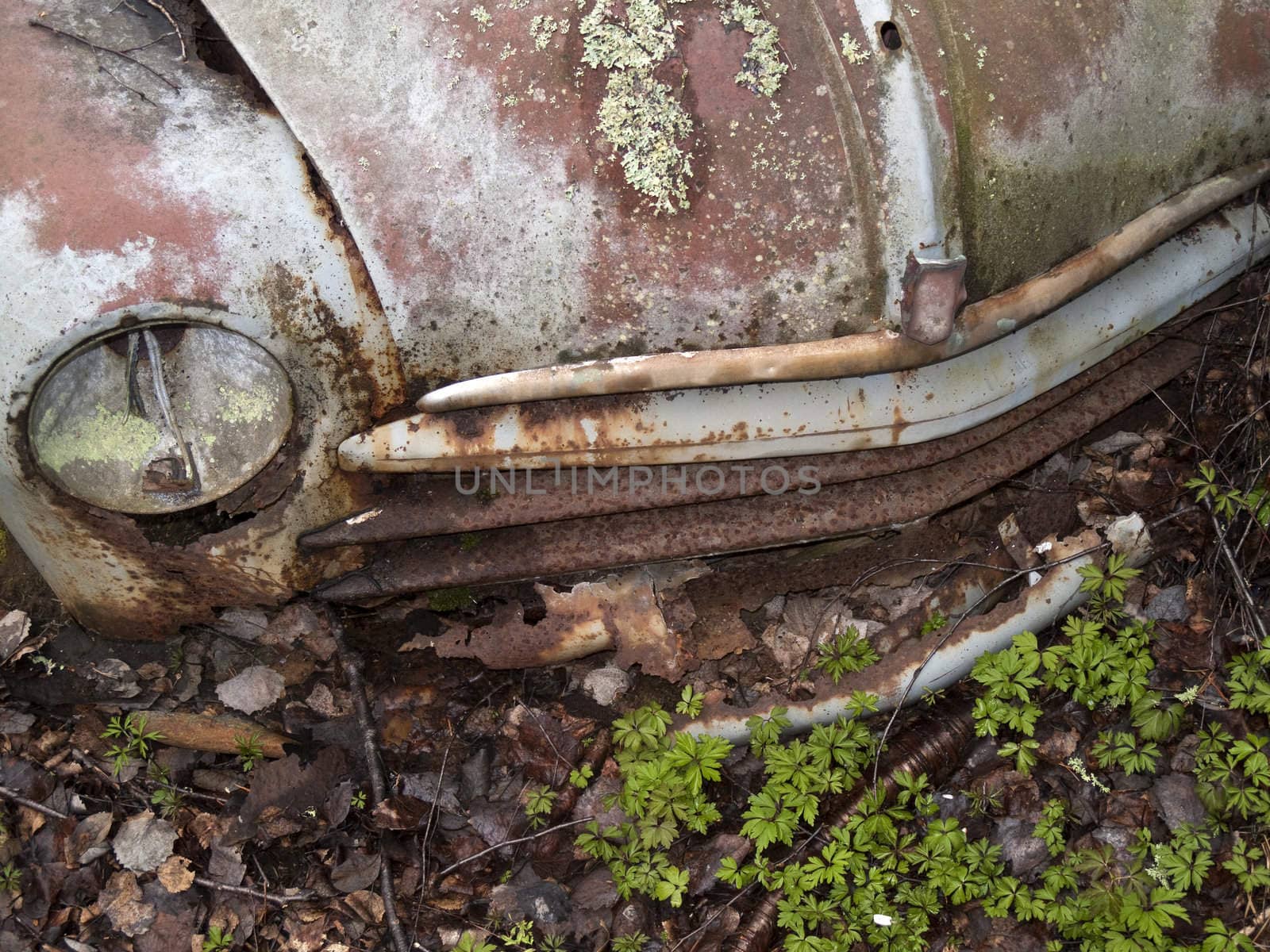 Old Fiat left in the nature near the Norwegian border - Sweden.  From the series scrap in the wood.