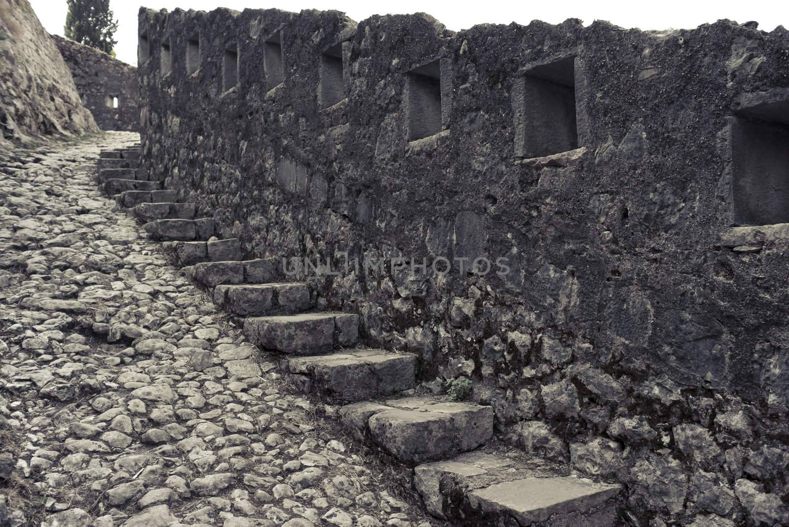 Detail of the medieval town wall  Kotor, Montenegro. Image cross processed to reflect age.