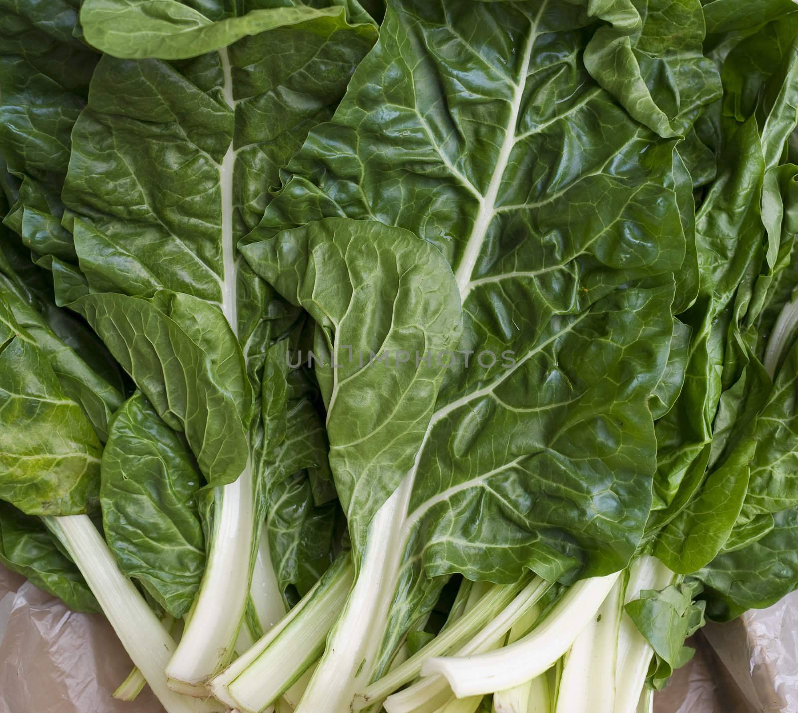 Swiss chard found on a market place in Kotor, Montenegro.