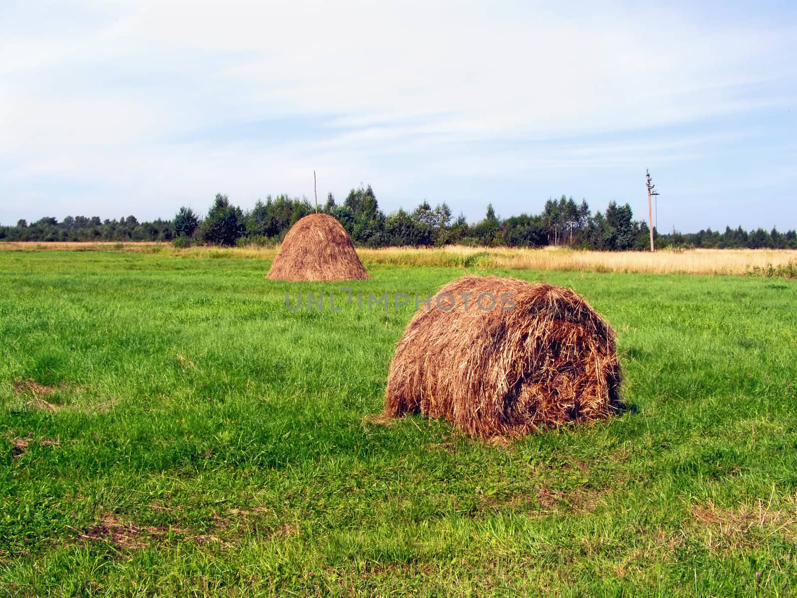 hay on autumn field