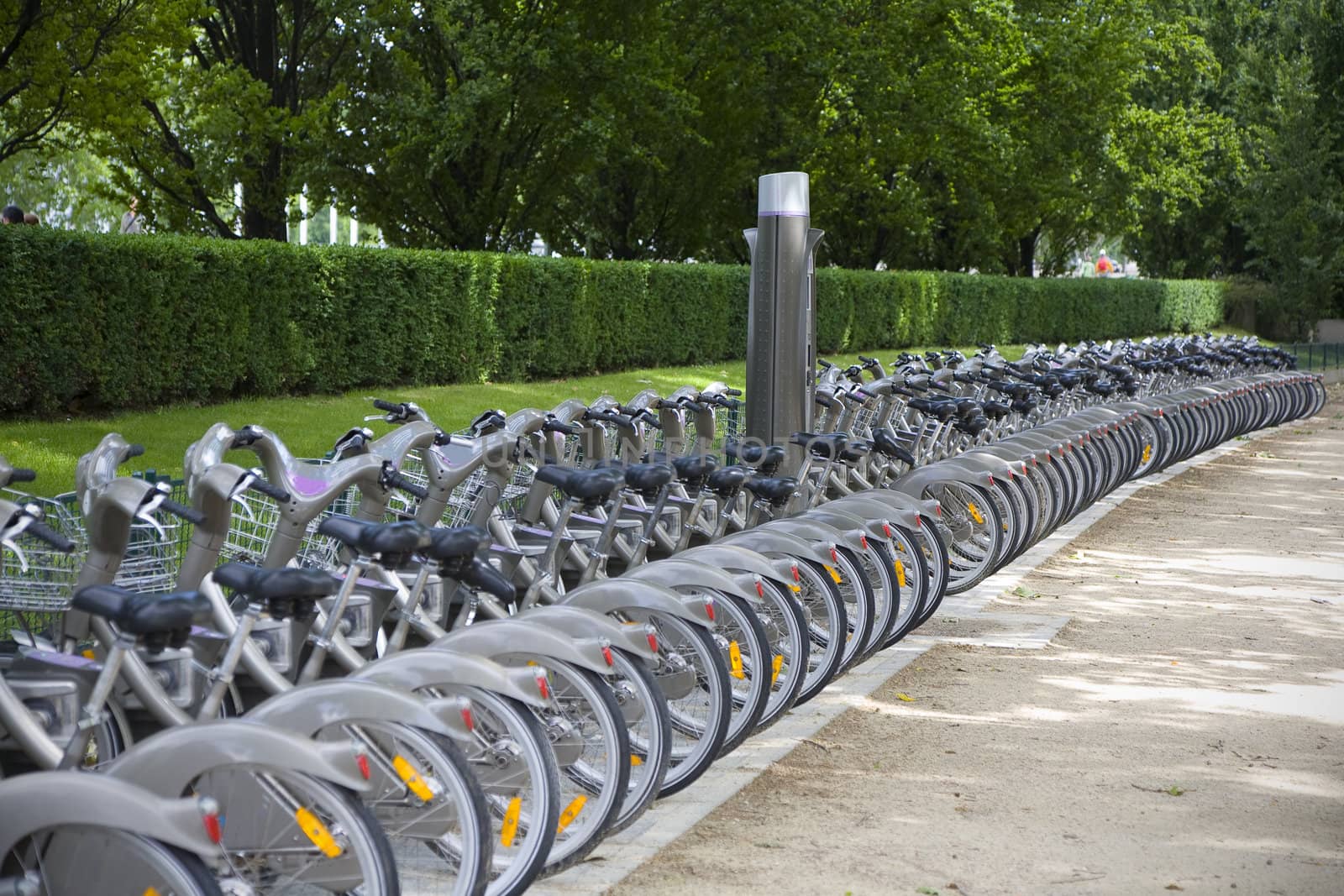 Row of bicycles for hire - Paris, France.