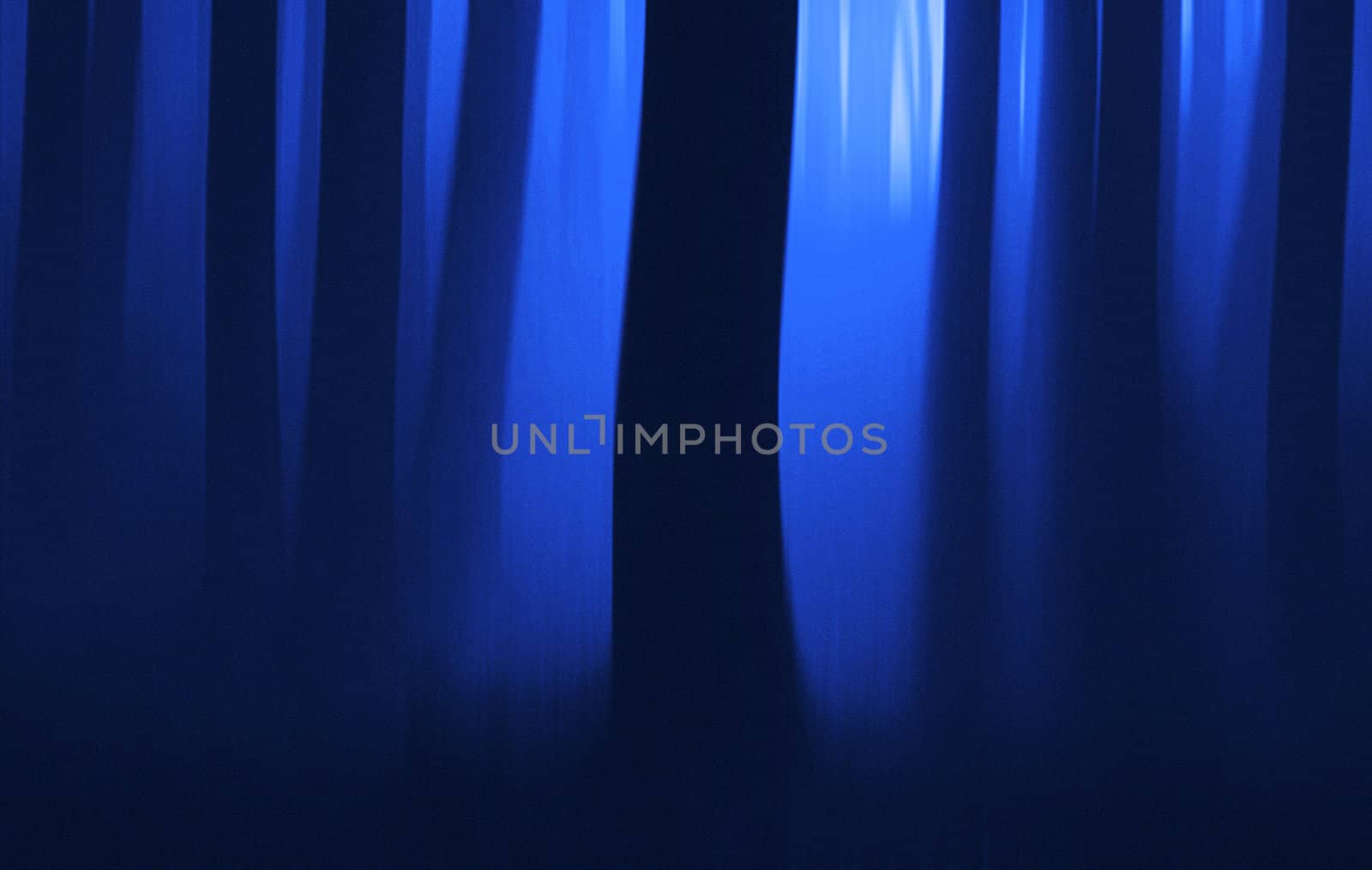 Blue hour in the wood - motion blur. Film grain added.