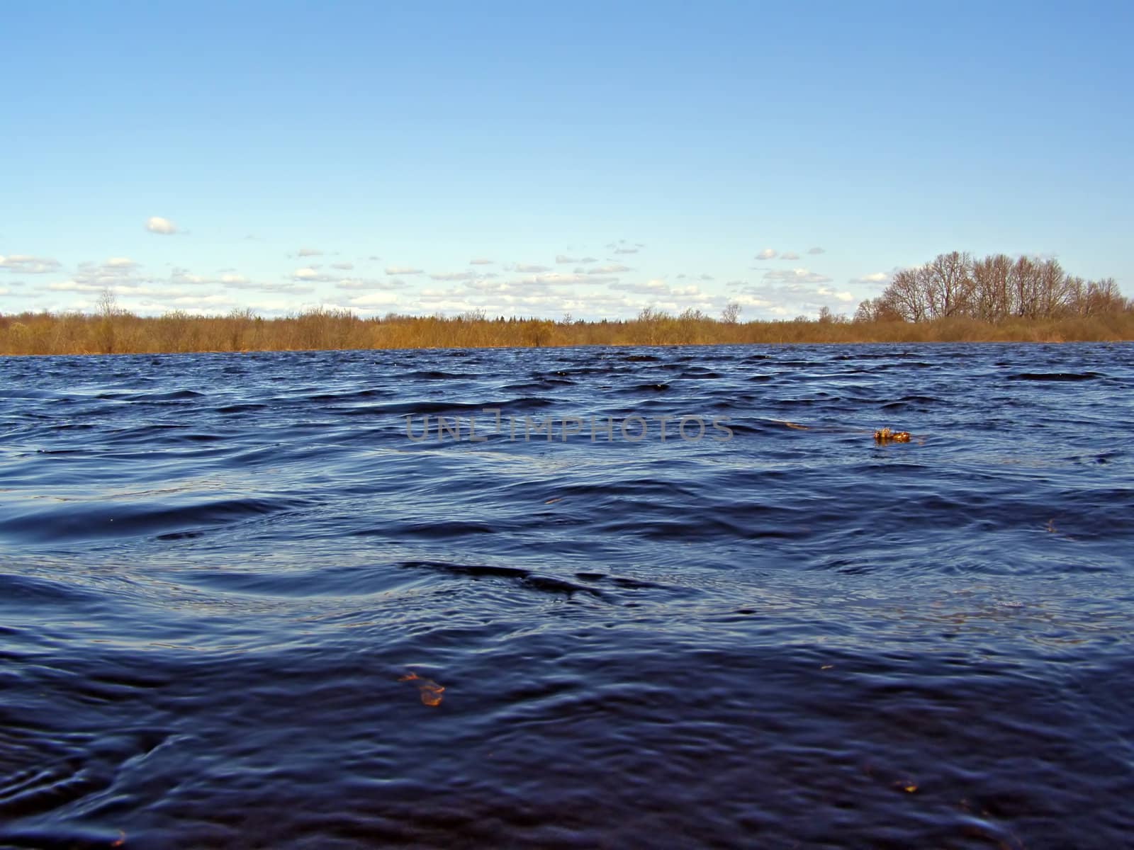 wave on river