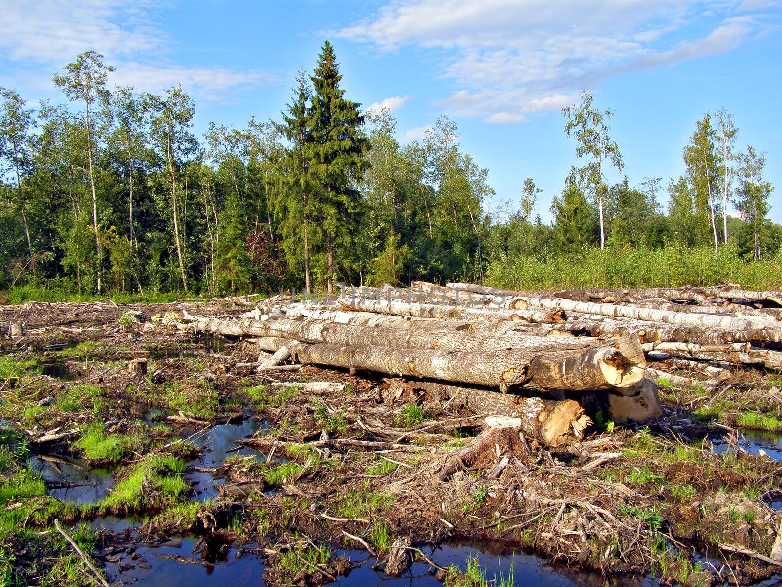 chopping wood