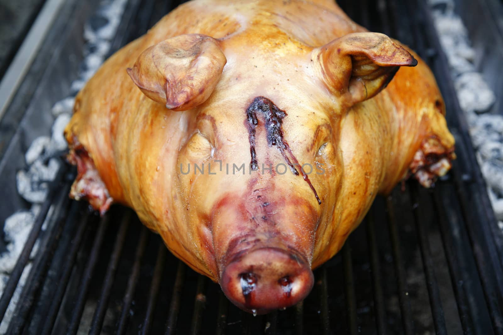 Pig barbeque roast.