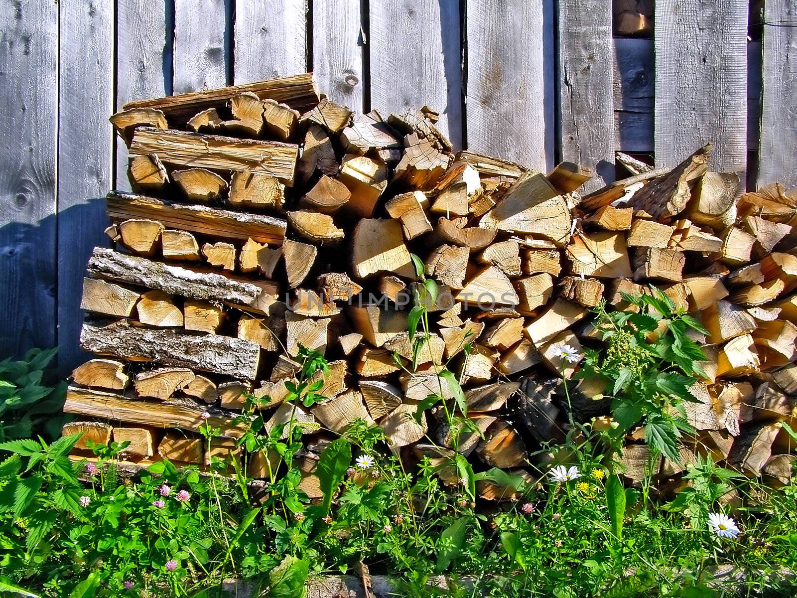 firewood near wooden wall