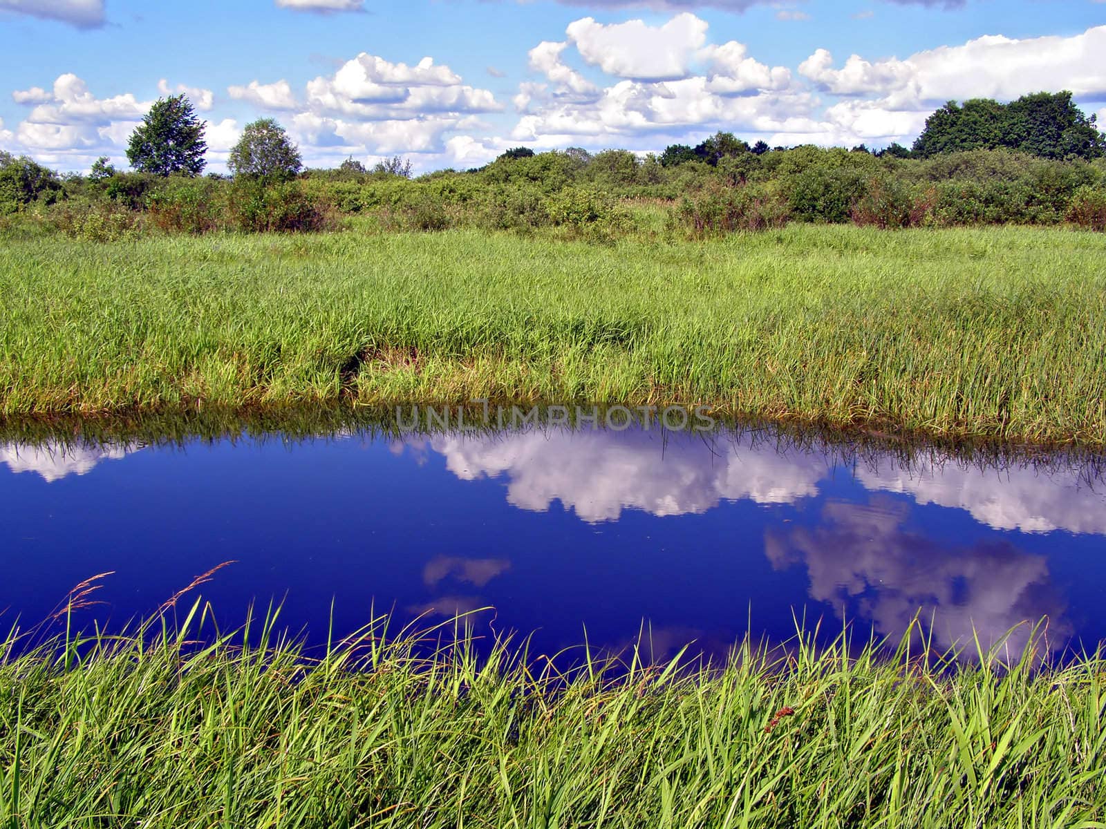 small river on field