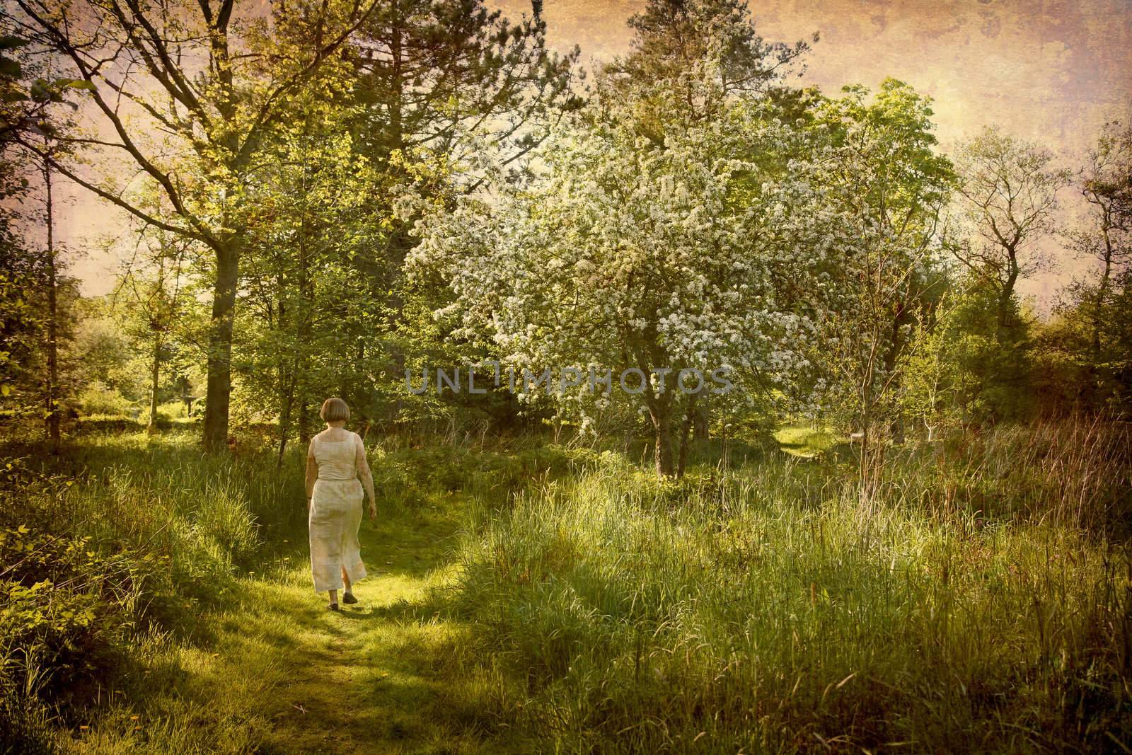 Artistic work of my own in retro style - Postcard from Denmark. - Lonely woman walking in a meadow. More of my images worked together to reflect age and time.