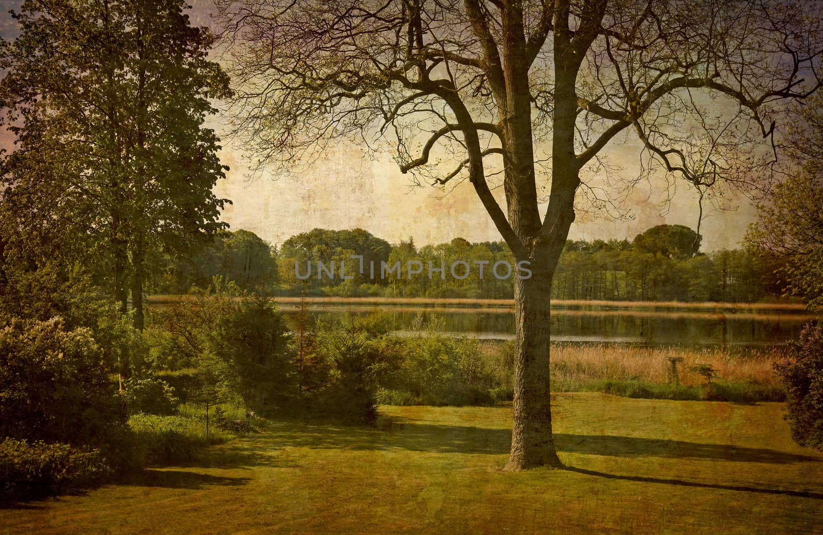 Artistic work of my own in retro style - Postcard from Denmark. - Morning scenic by the lake.