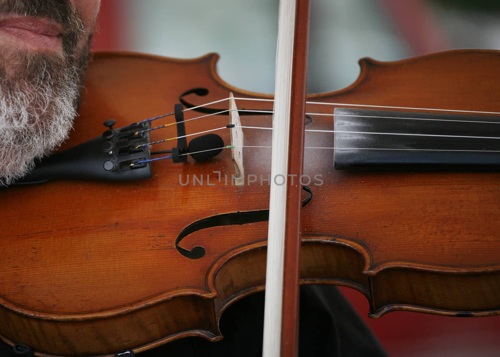 Fiddler by ABCDK