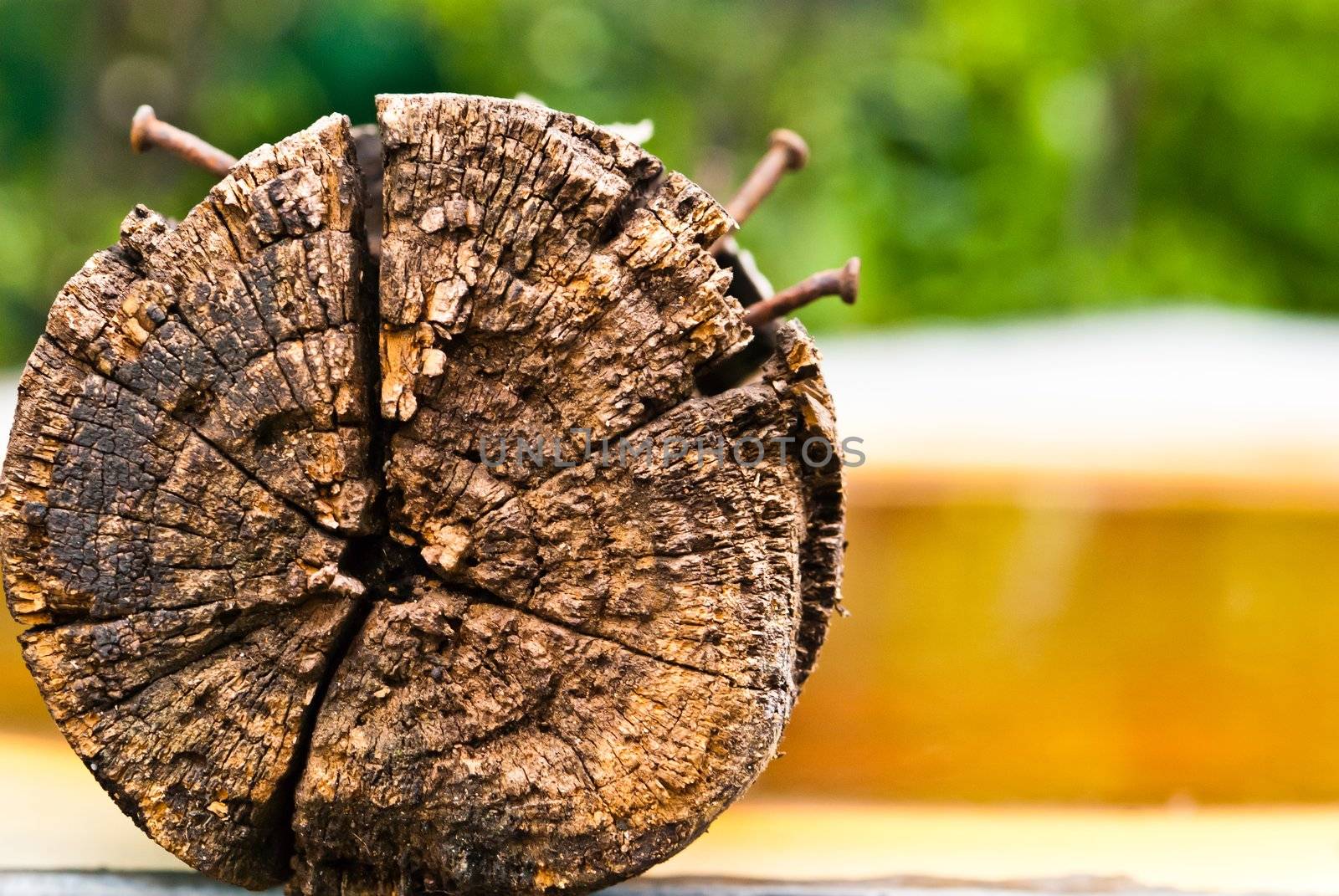 Old wood pole with rusty nails
