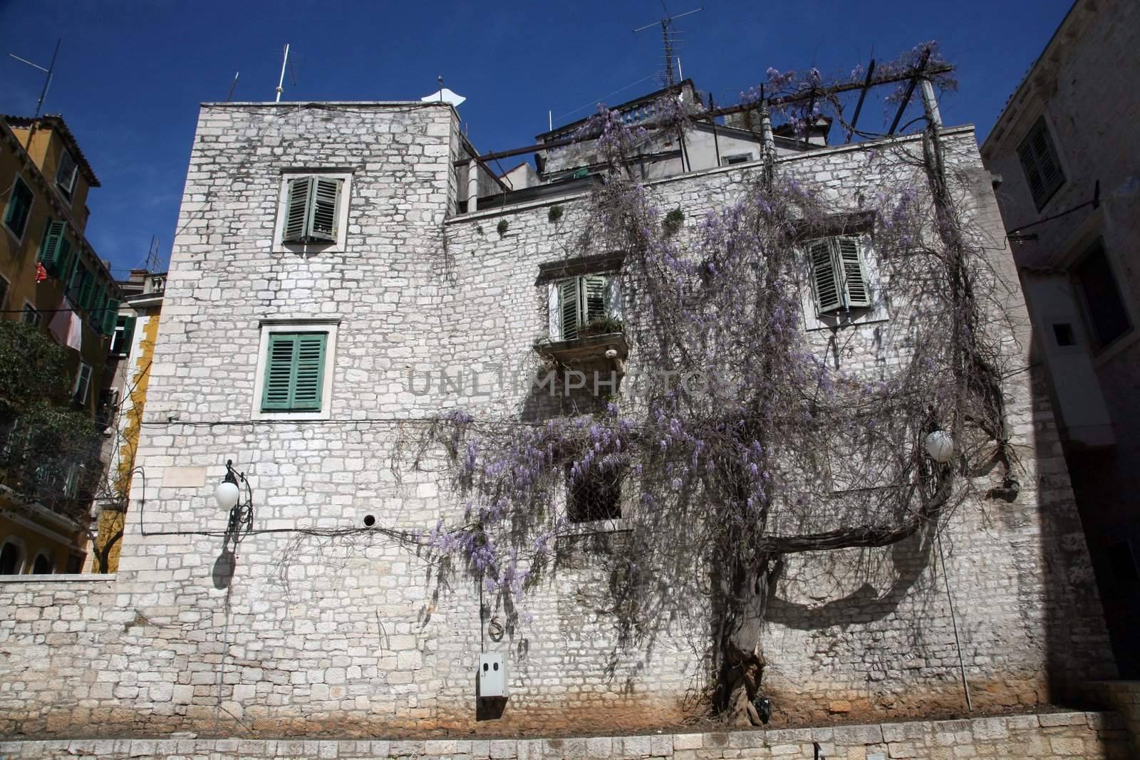 Ancient building in Sibenik, Croatia