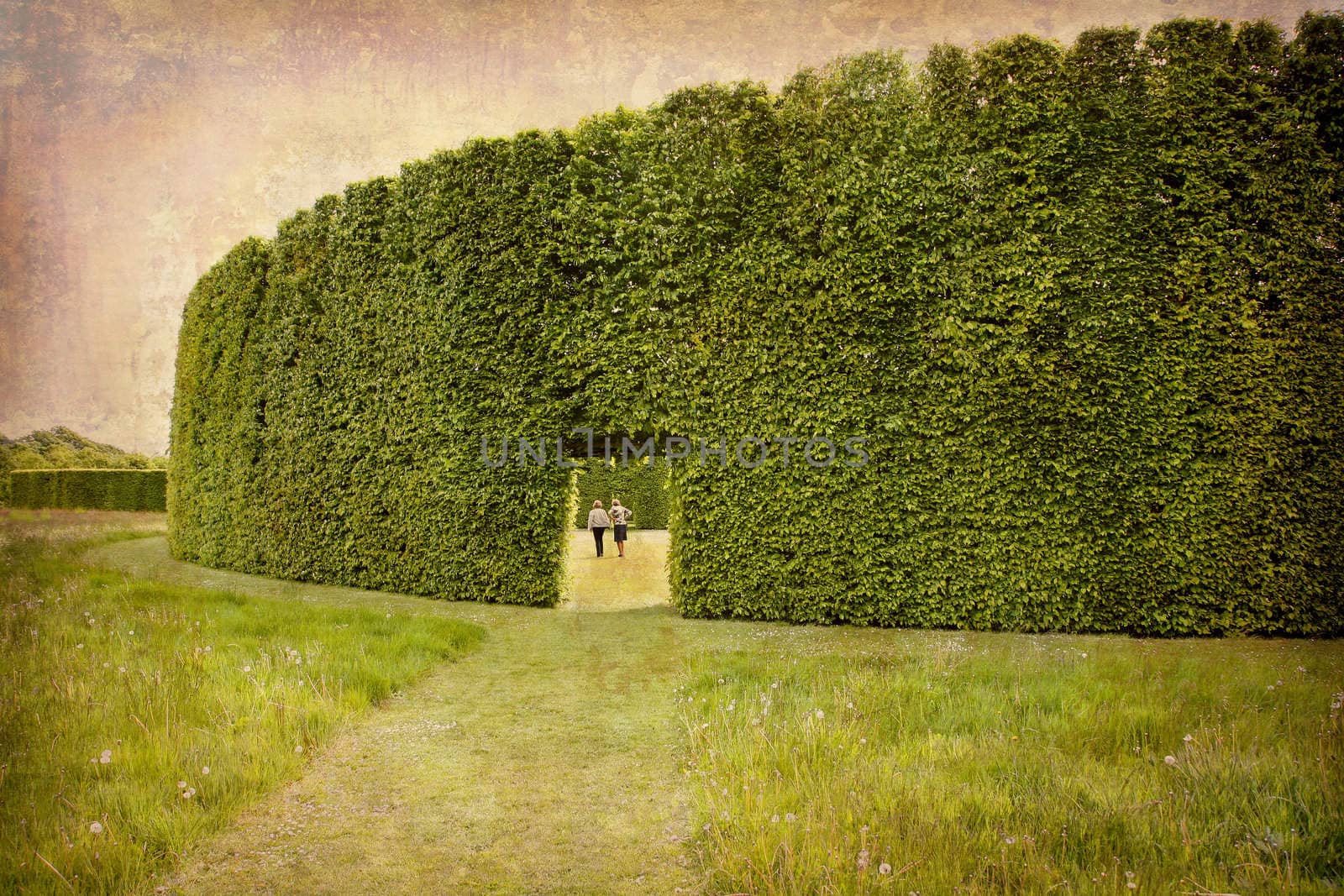 Artistic work of my own in retro style - Postcard from Denmark. - High hedges.