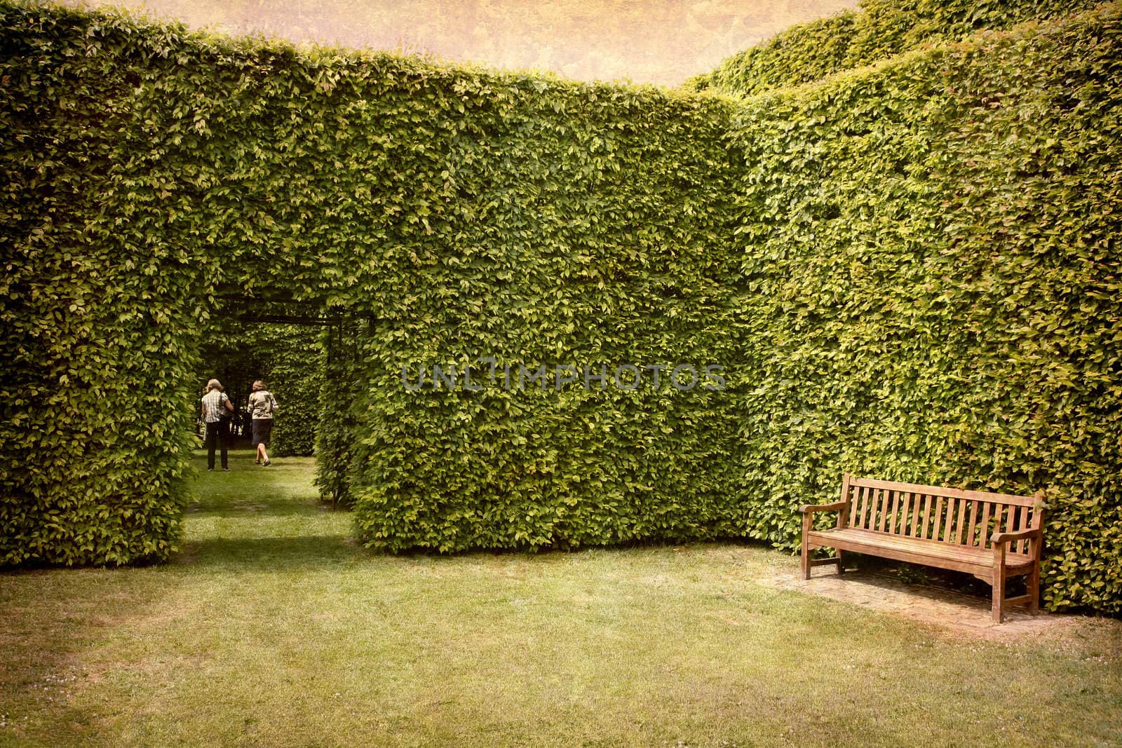 Artistic work of my own in retro style - Postcard from Denmark. - Hedges and bench.