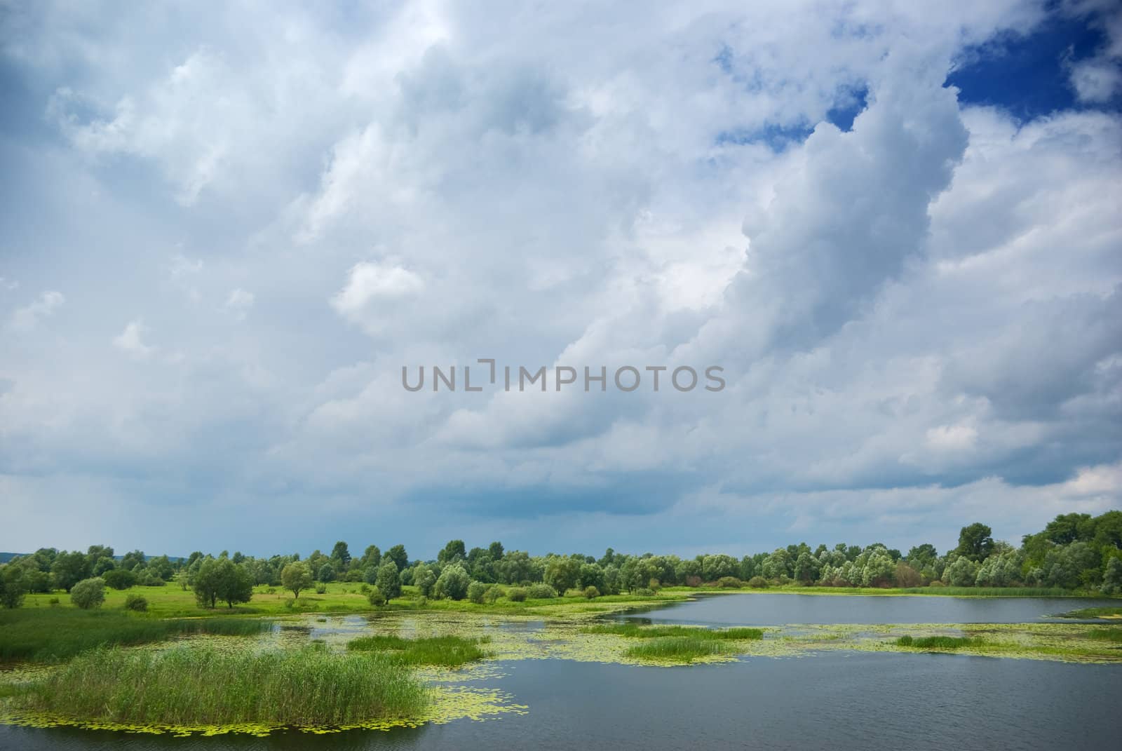 beautiful Forest lake under blue cloudy sky 