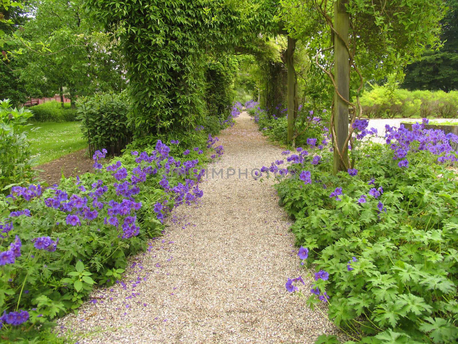 Old Danish garden at summertime.