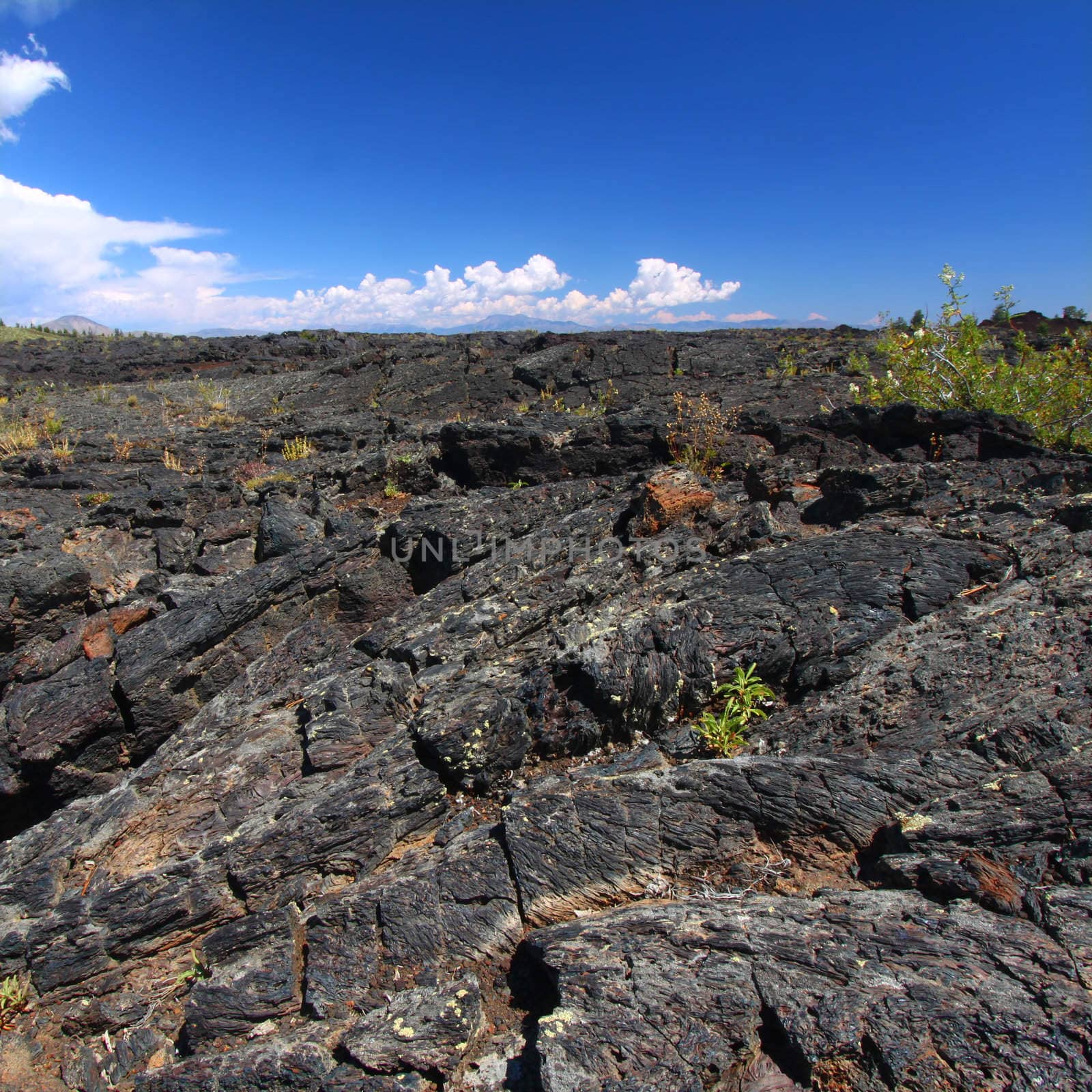 Volcanic rock covers the landscape at Craters of the Moon National Monument of Idaho.