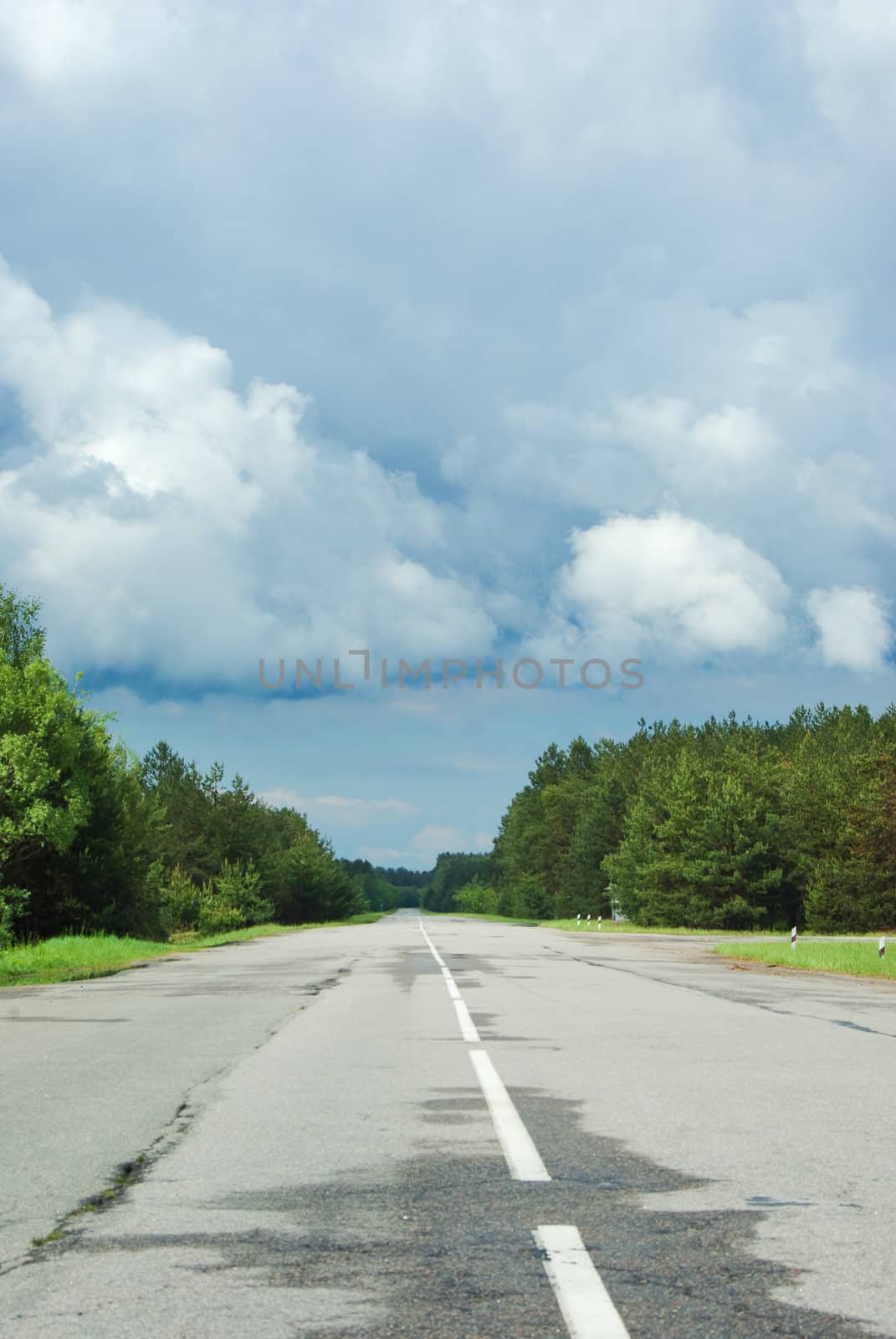 road in the woods under a cloudy sky