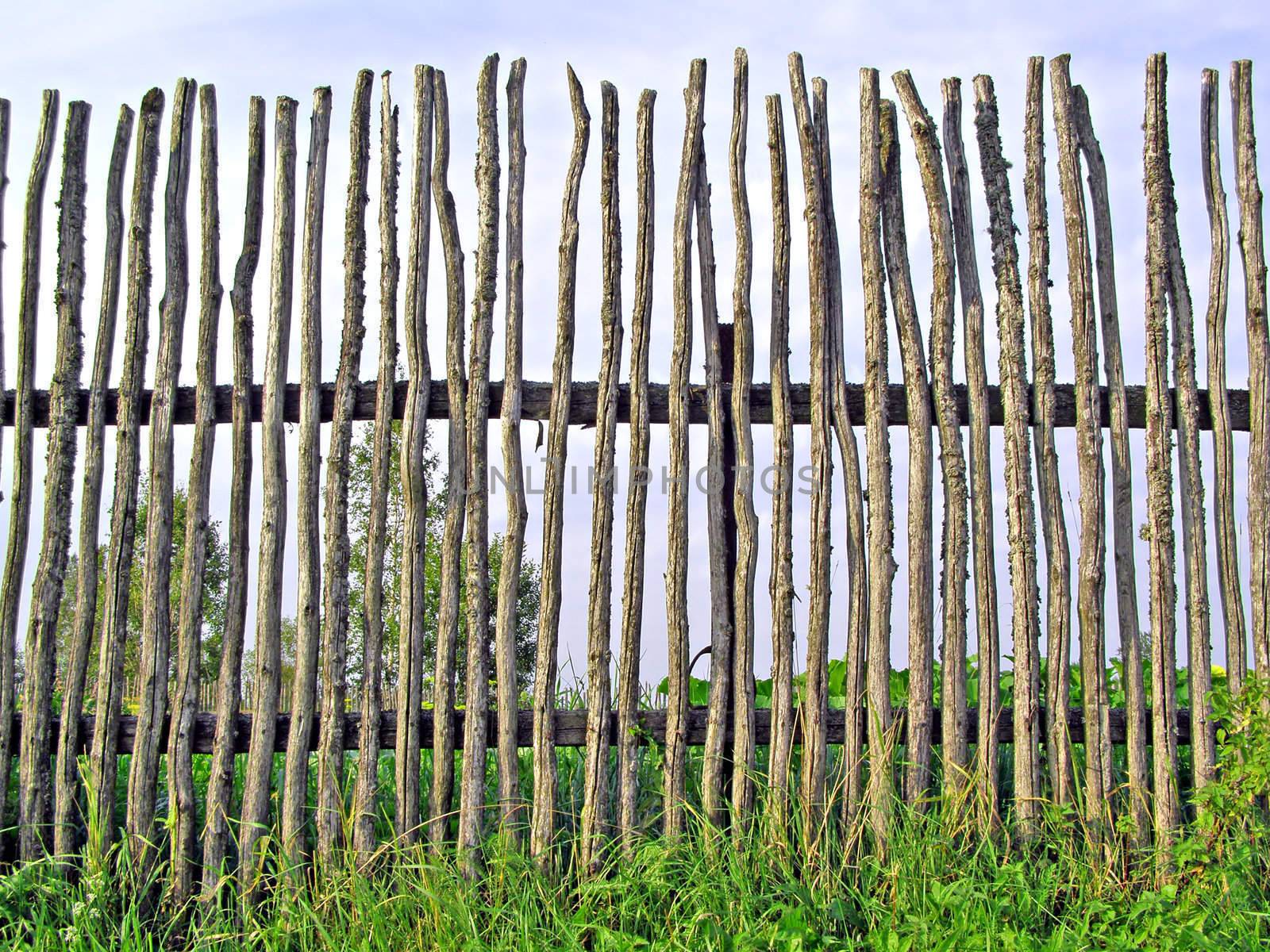 old fence