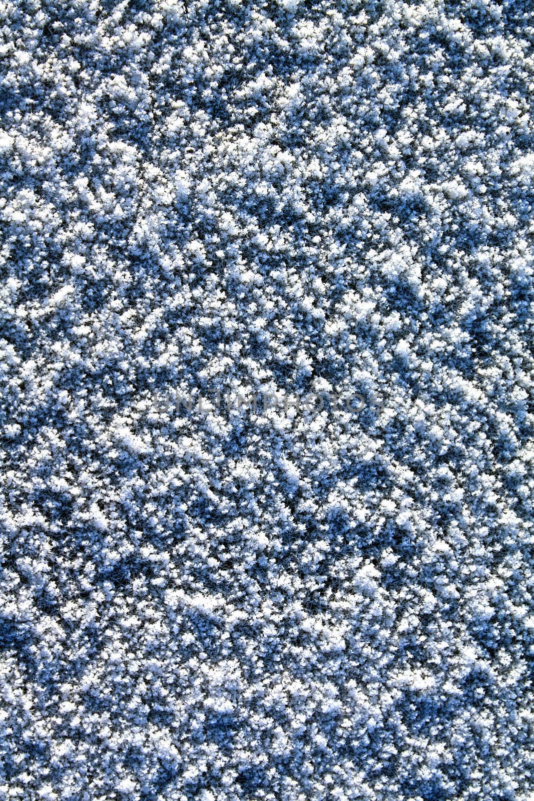 texture of the snow