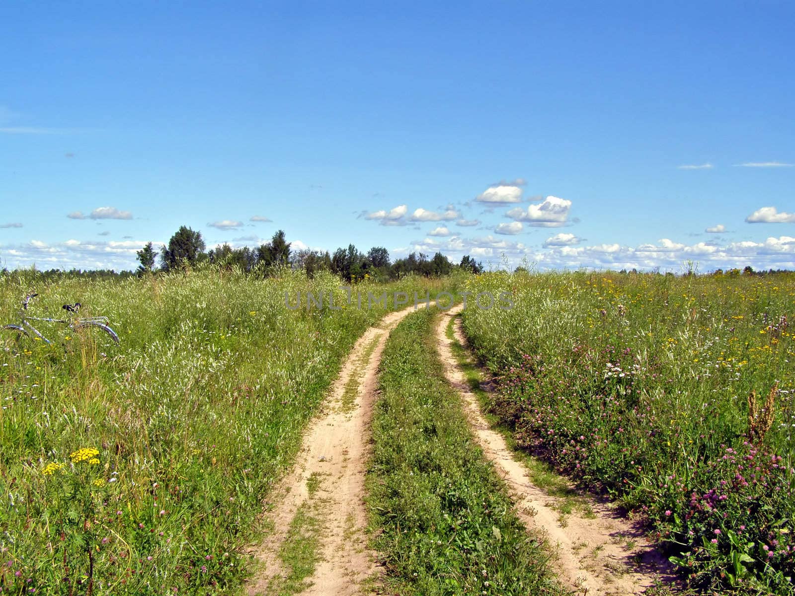 aging rural road through field