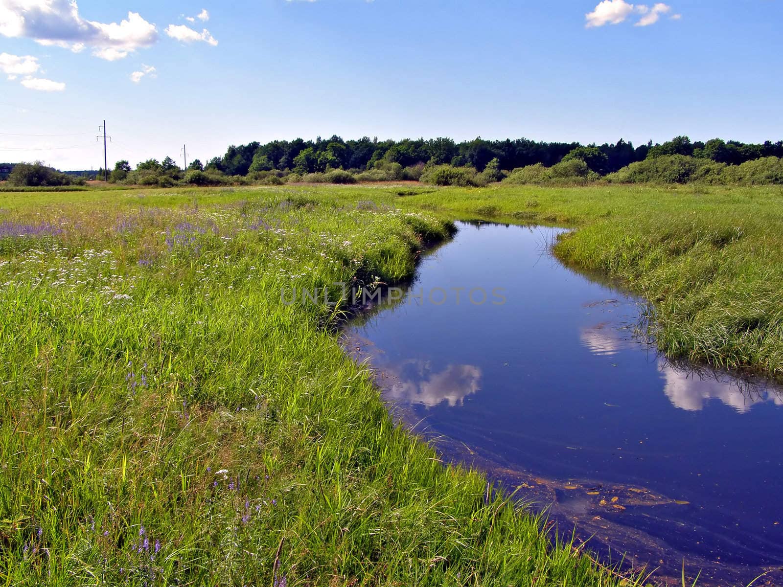 small river on field