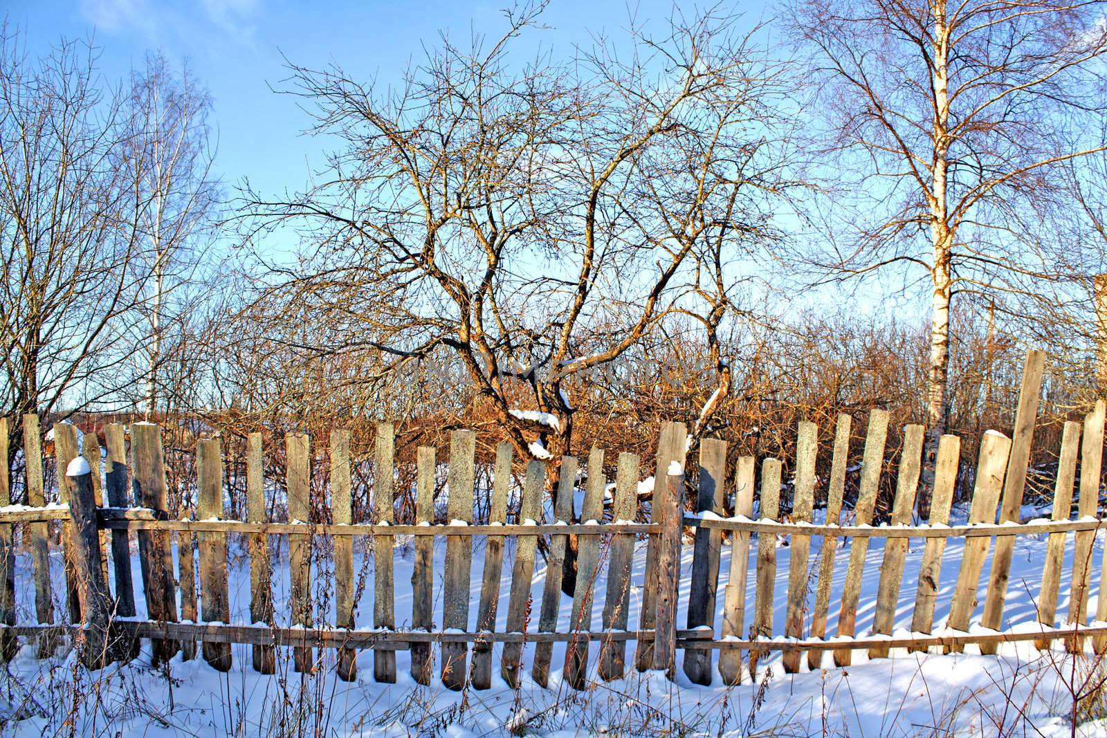 old fence in winter garden