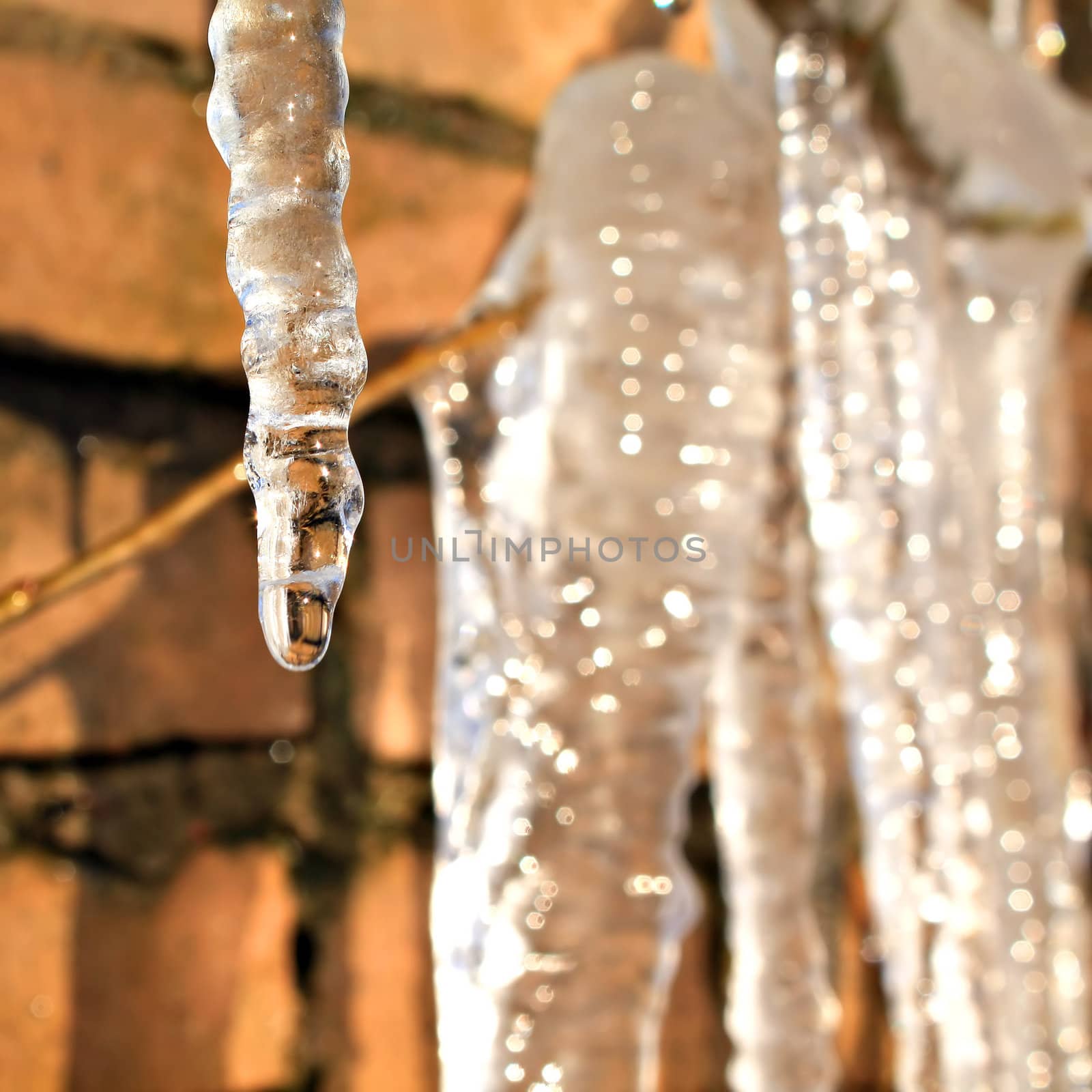 icicle