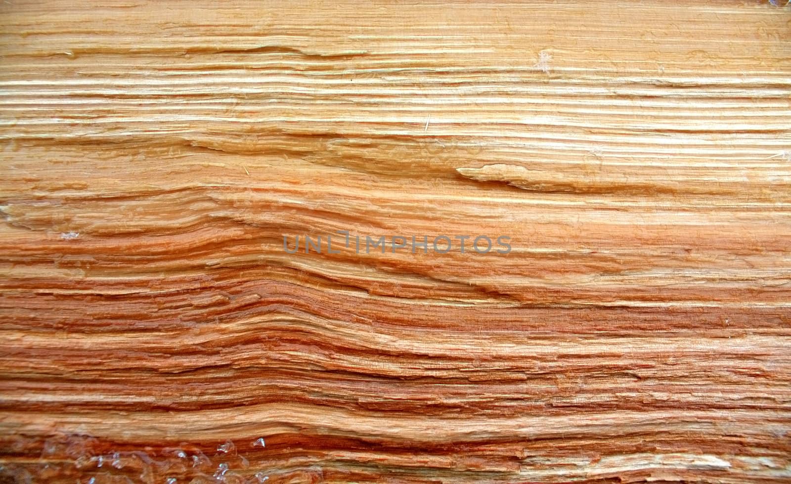 grunge wood background
