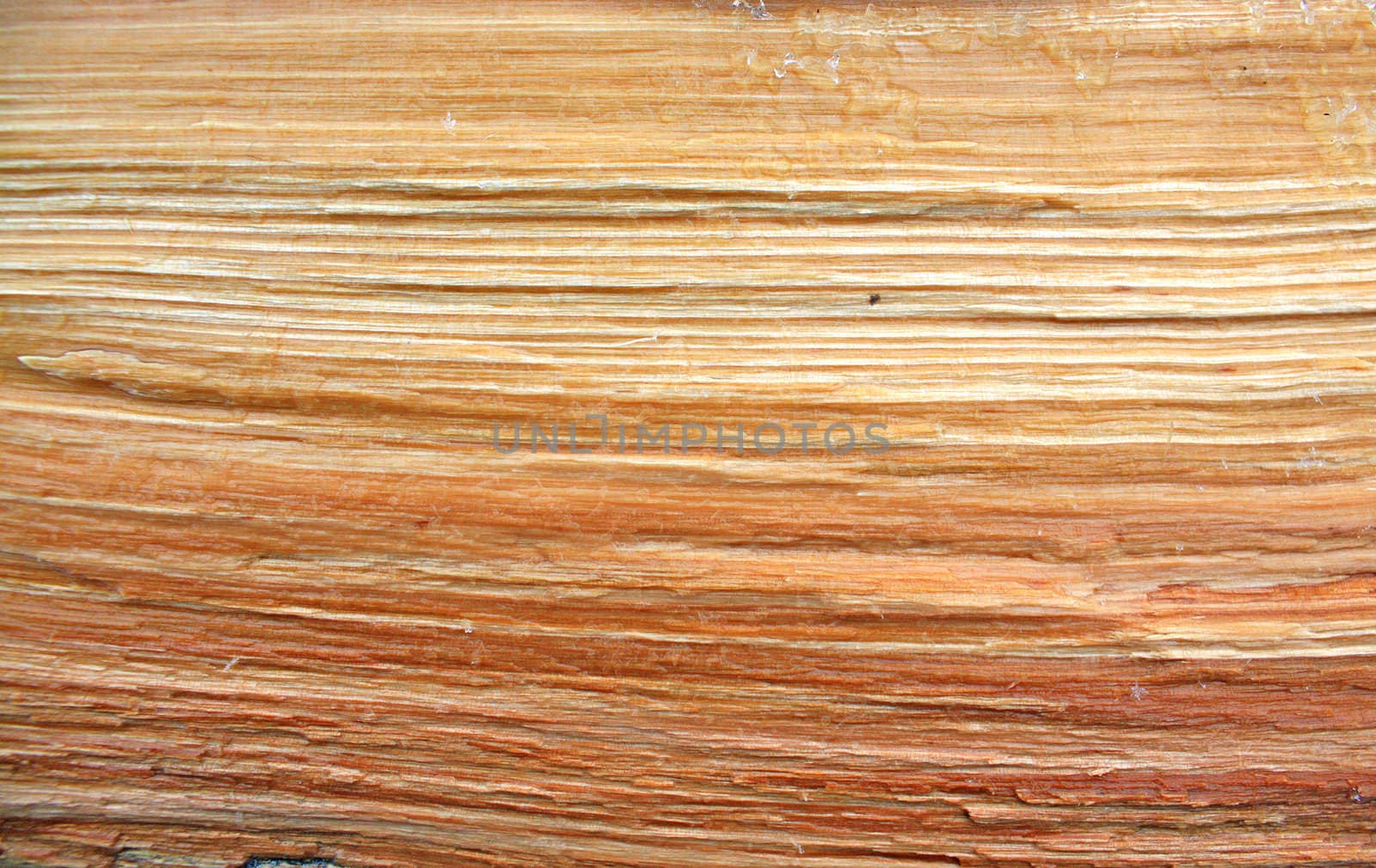 grunge wood background