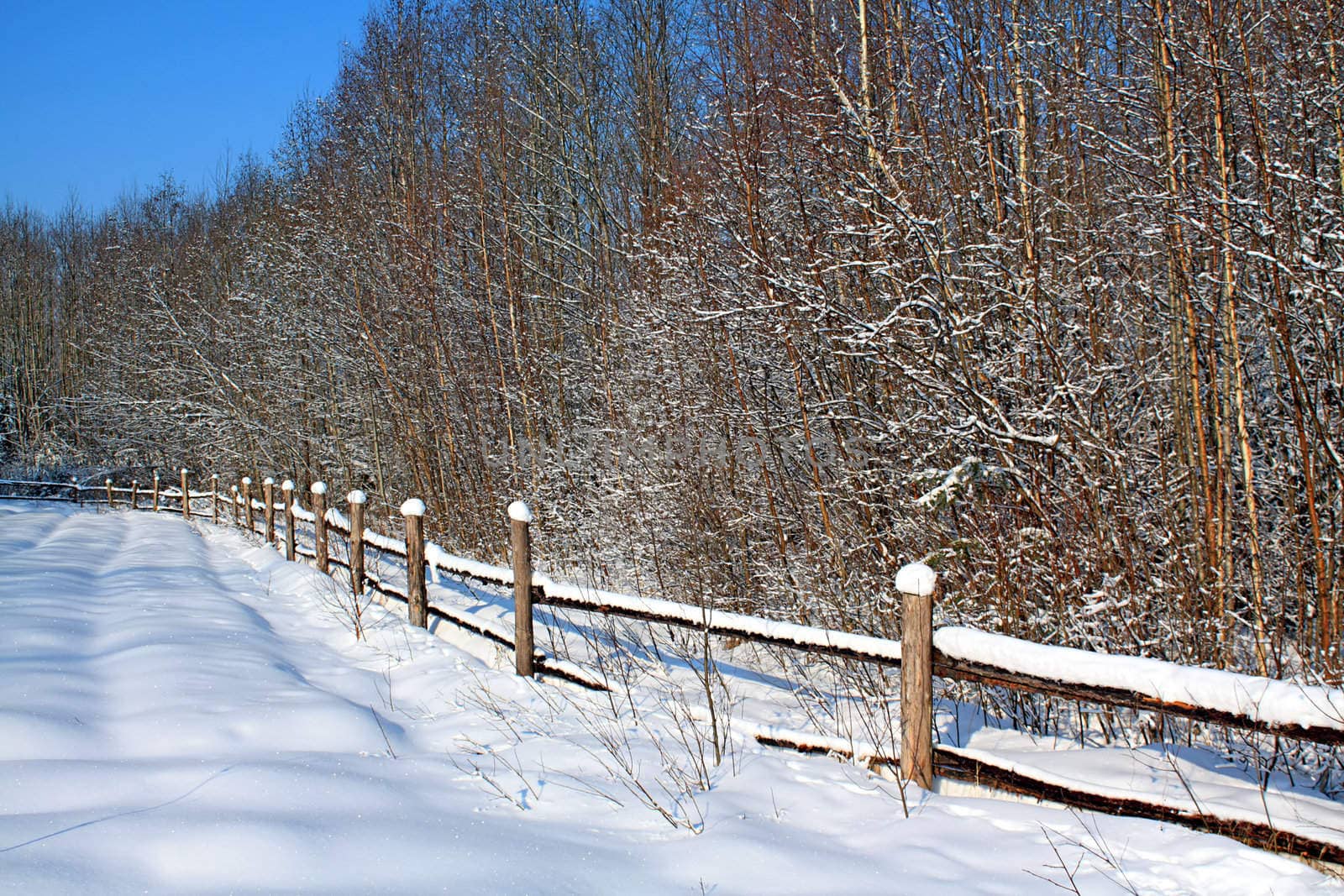 old fence