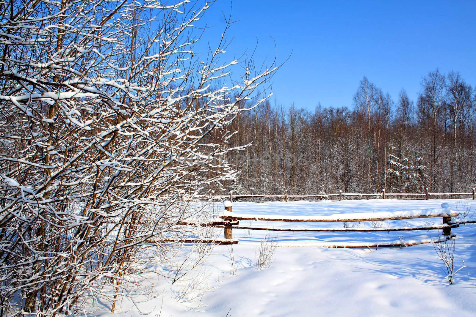 old fence