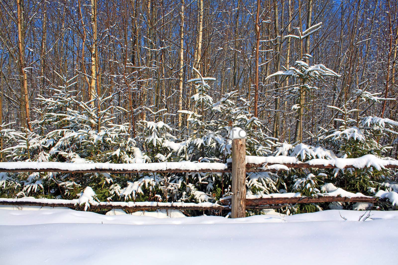 old fence