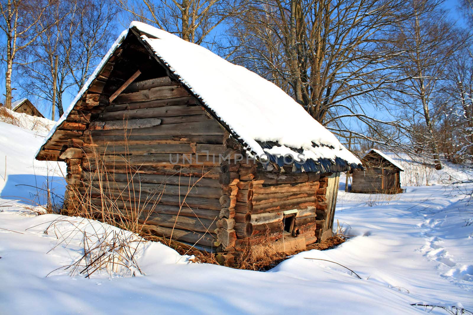 old house in wood