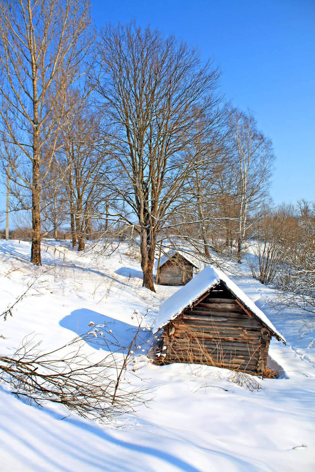 old house in wood