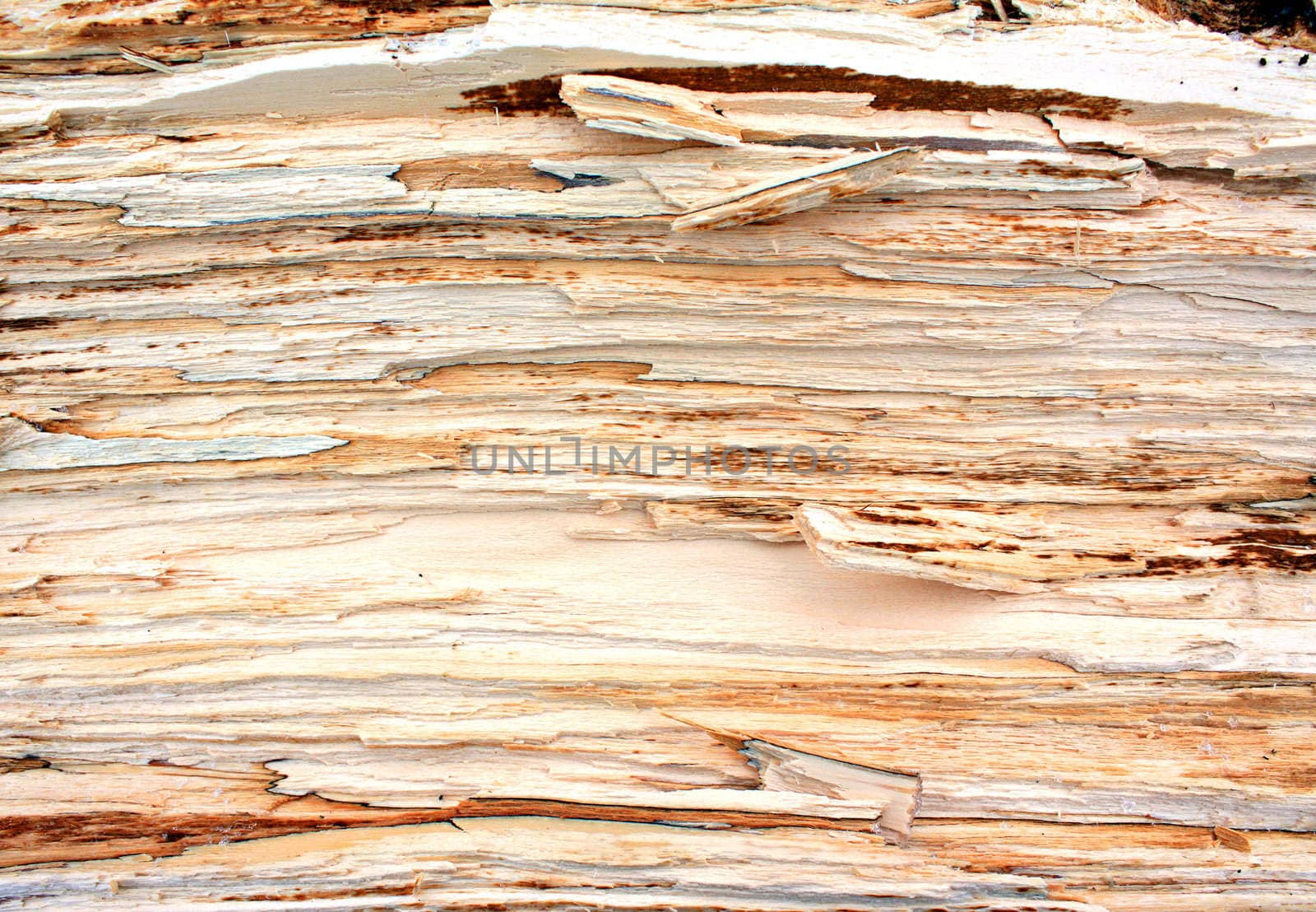 wood background