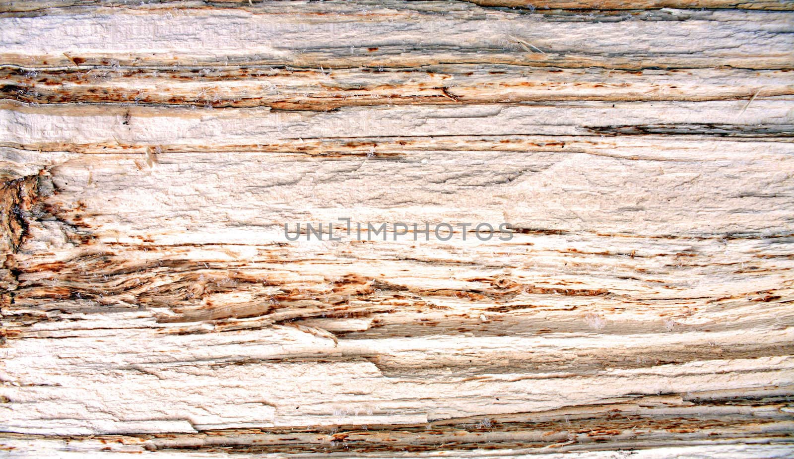 wood background