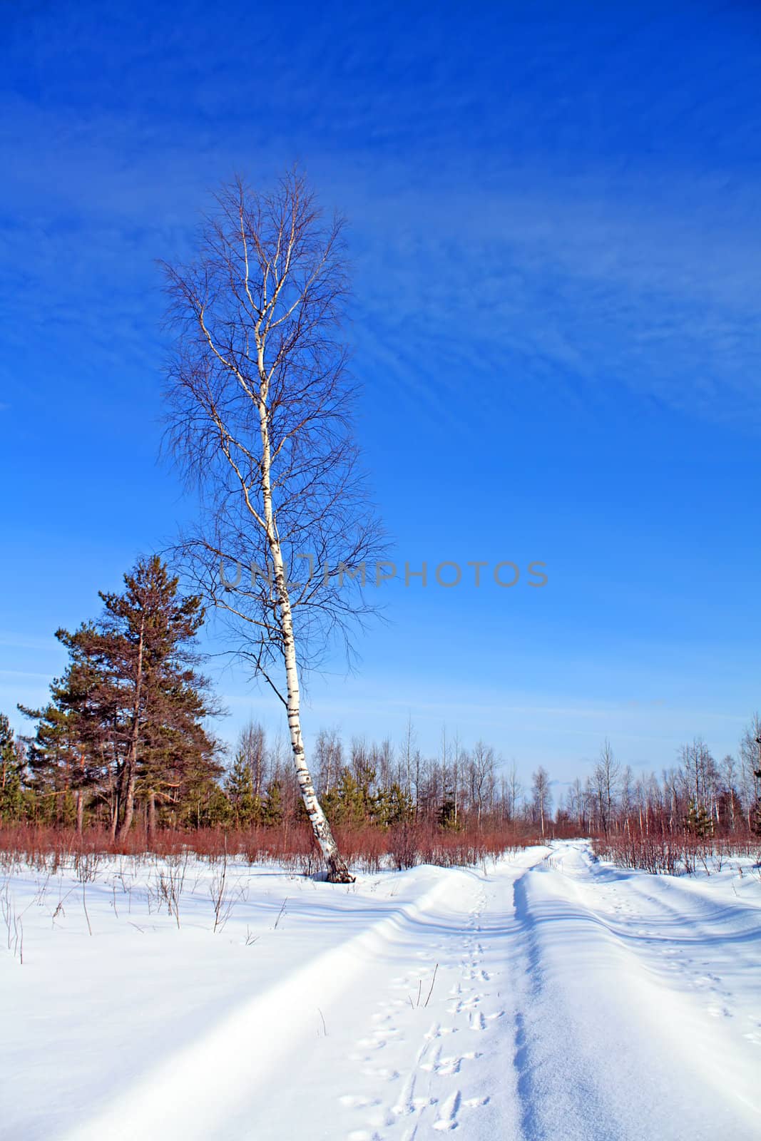 aging road in snow
