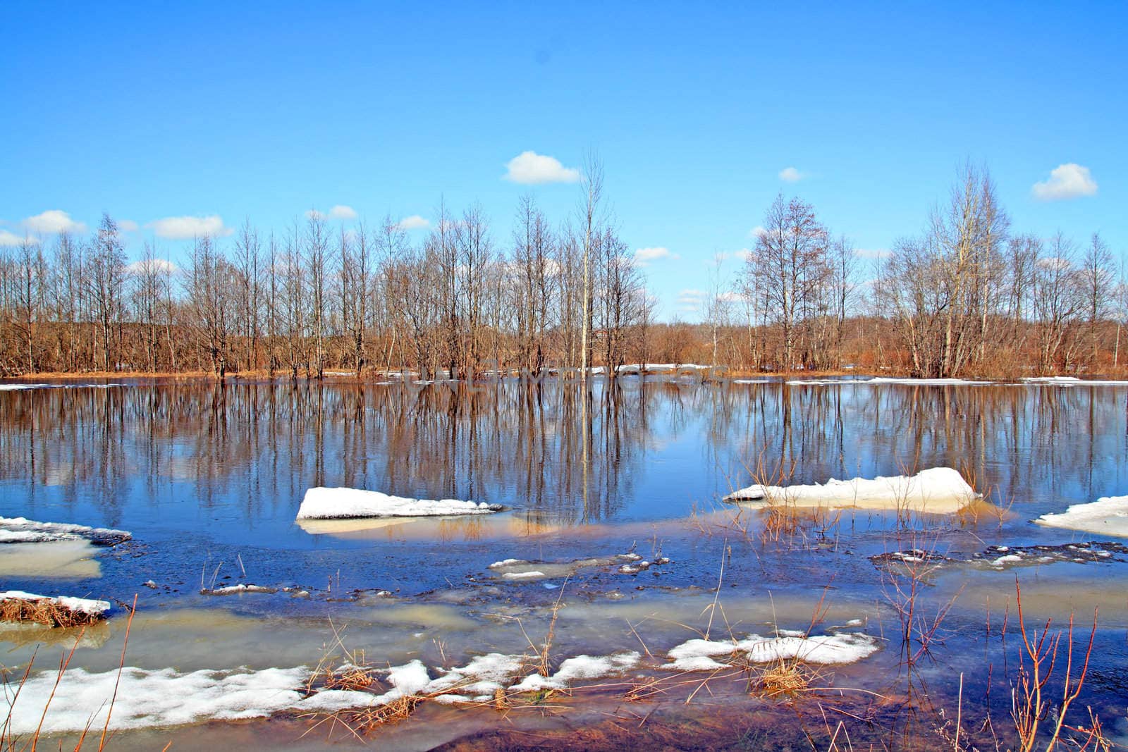 flood on river