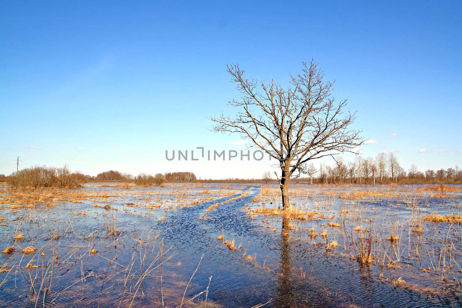 flood on river
