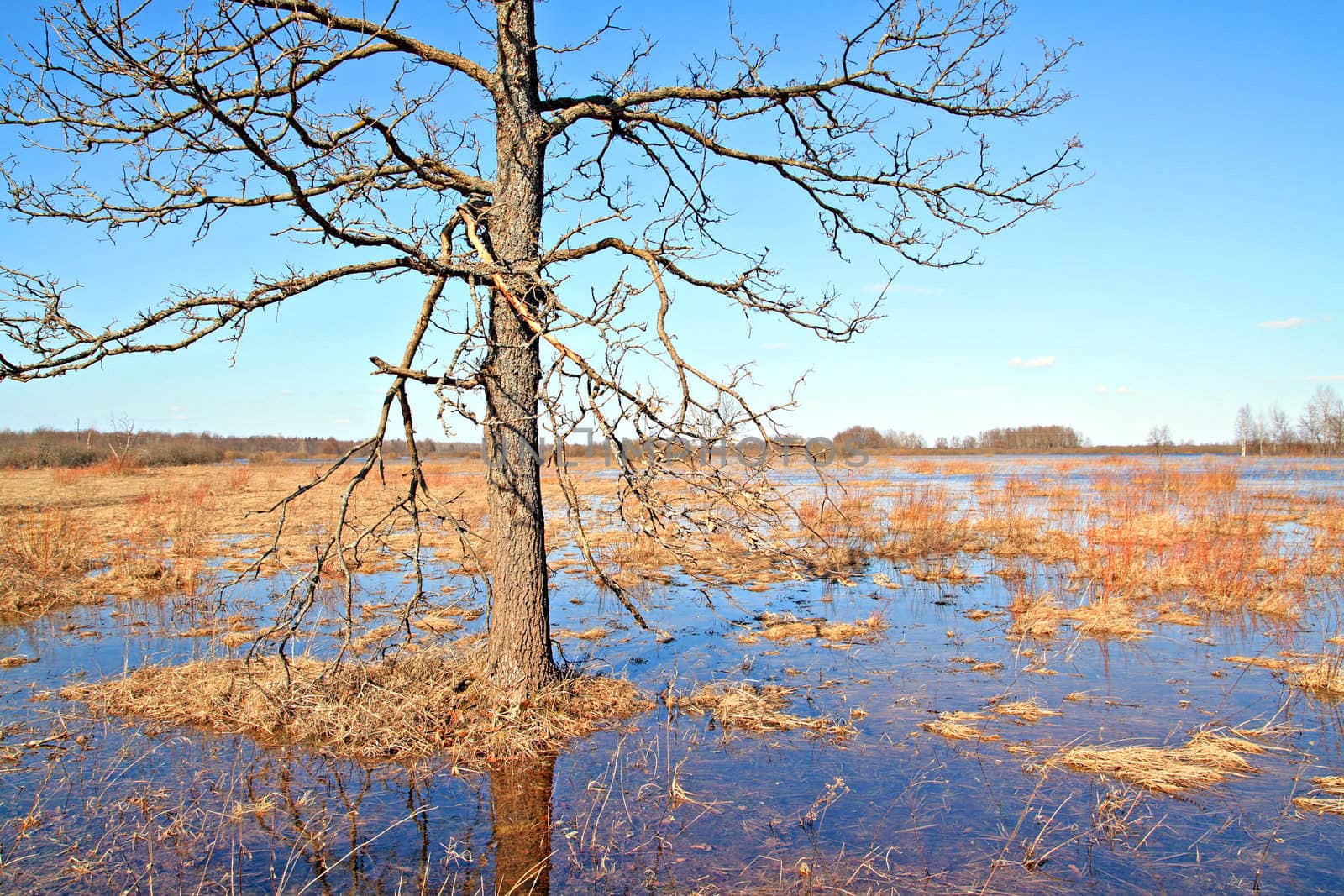 flood on river