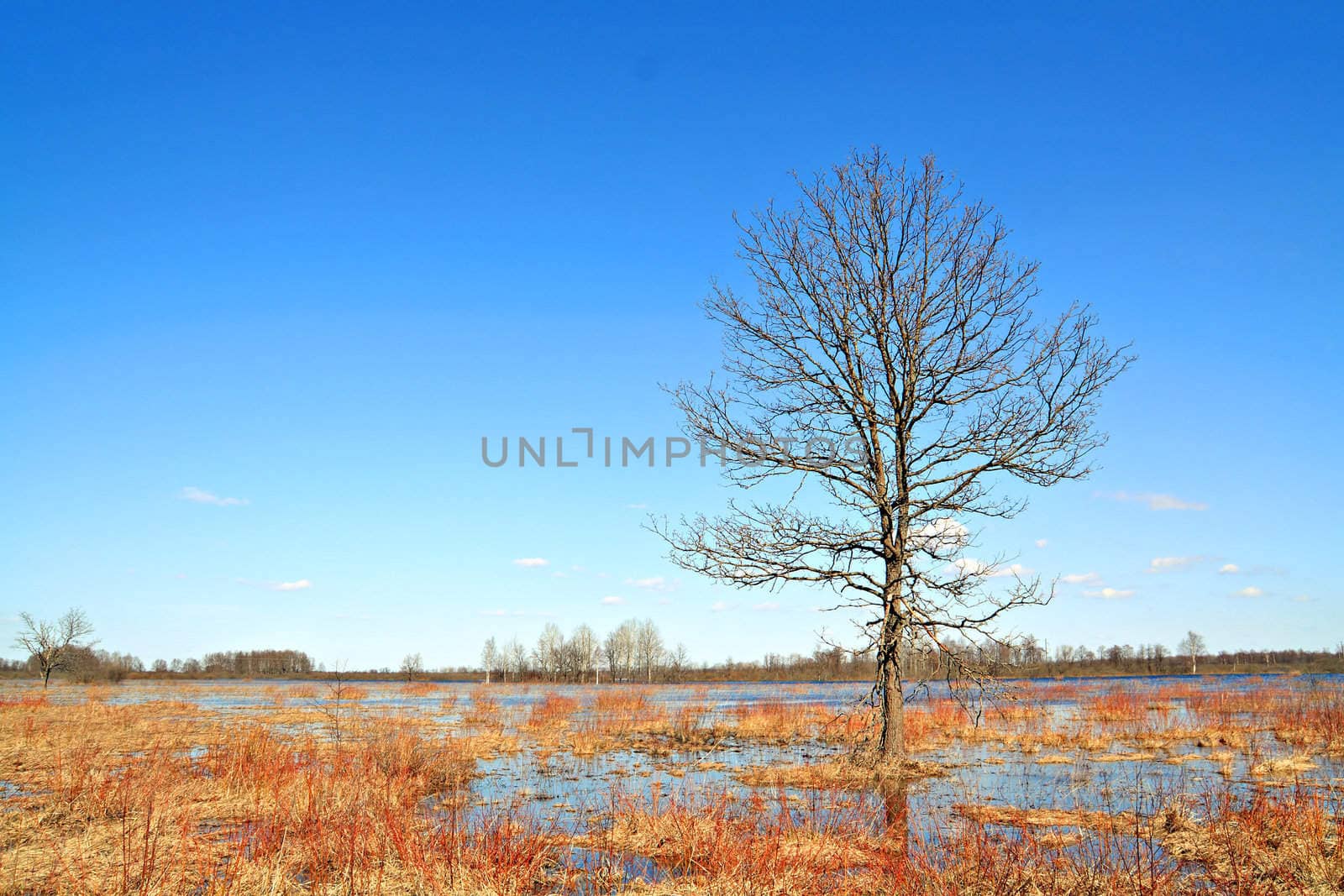 flood on river
