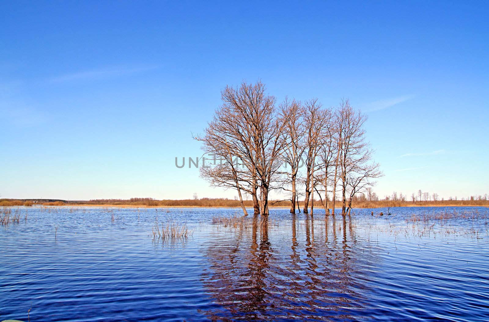 spring flood